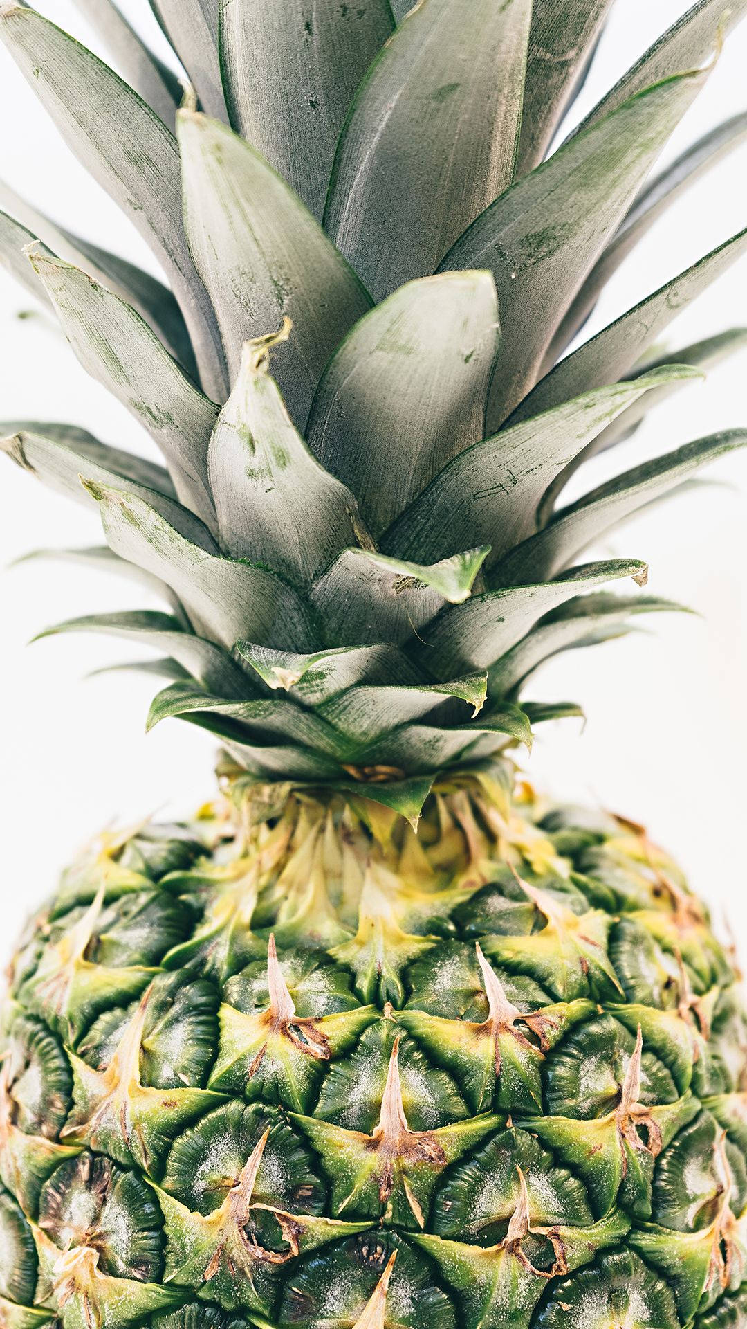 Pineapple iPhone, lock screen, fresh pineapple, Full HD Phone Wallpaper