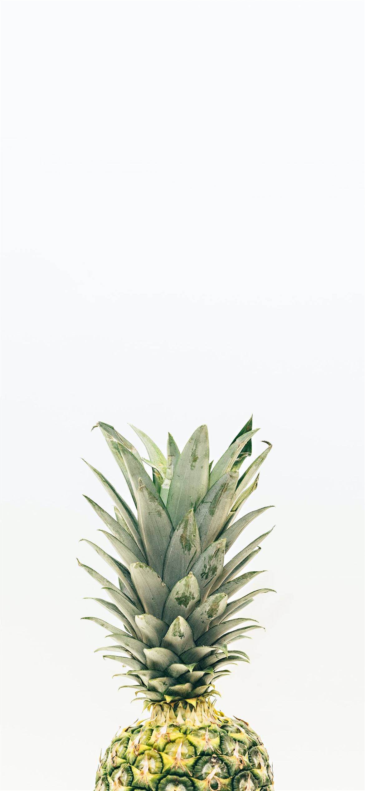 Pineapple iPhone 2021, pineapple, spiky green crown, Full HD Phone Wallpaper