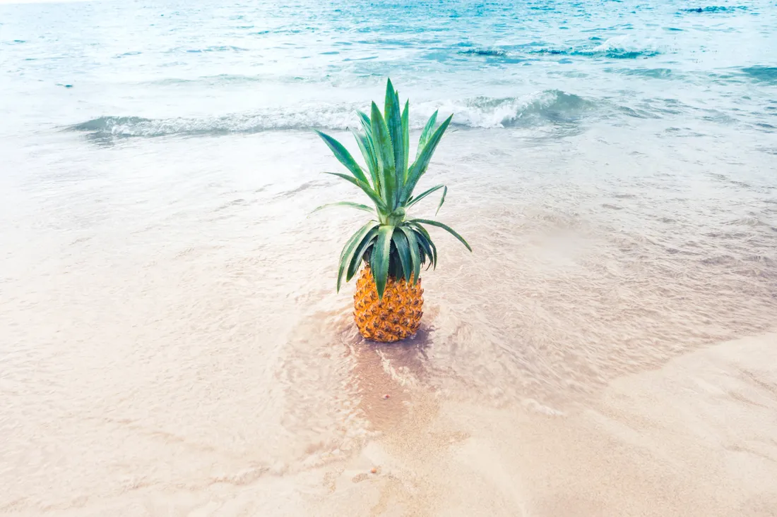 Pineapple