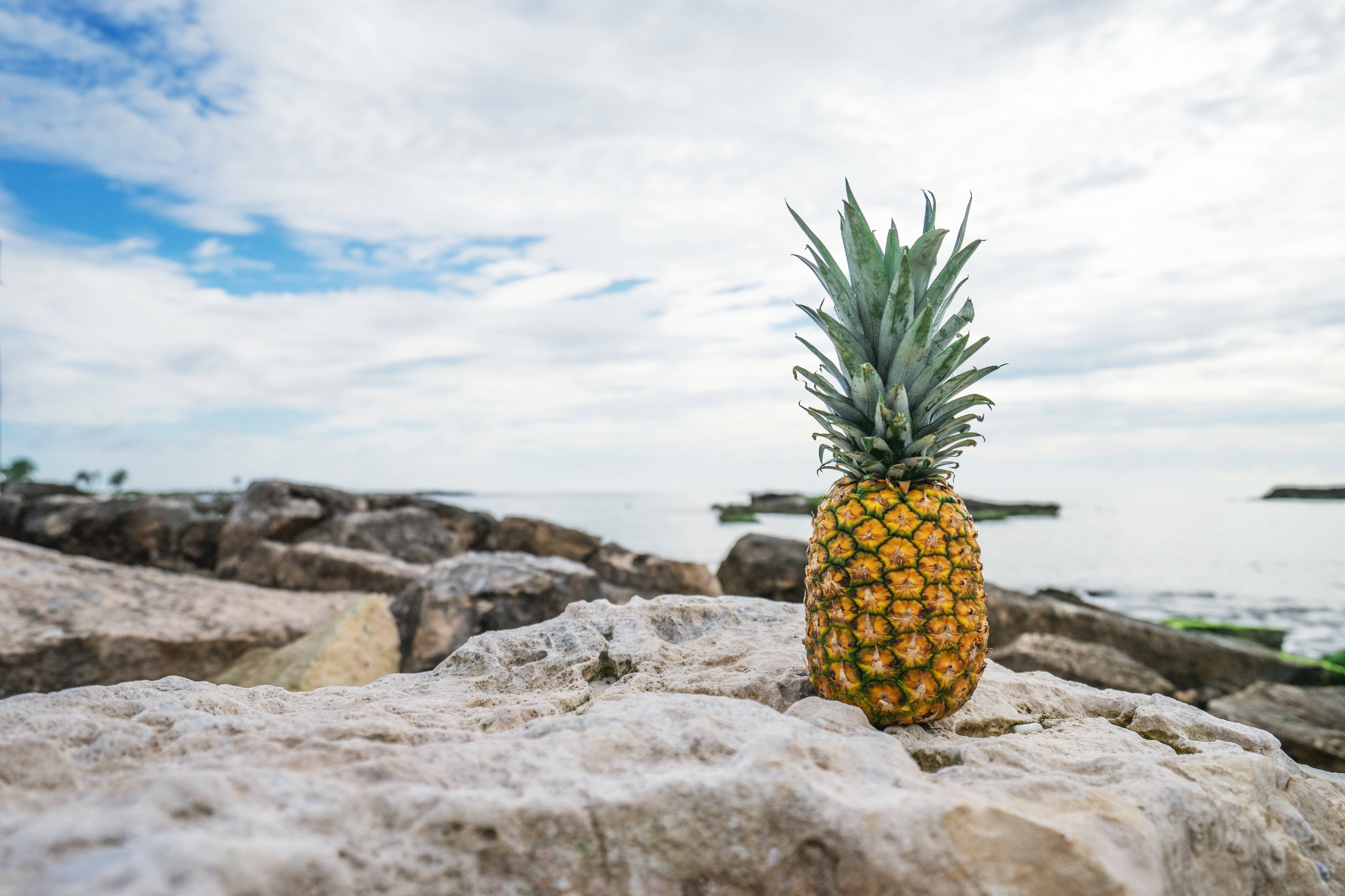 pineapple, rocky beach, ocean, 5K Desktop Wallpaper