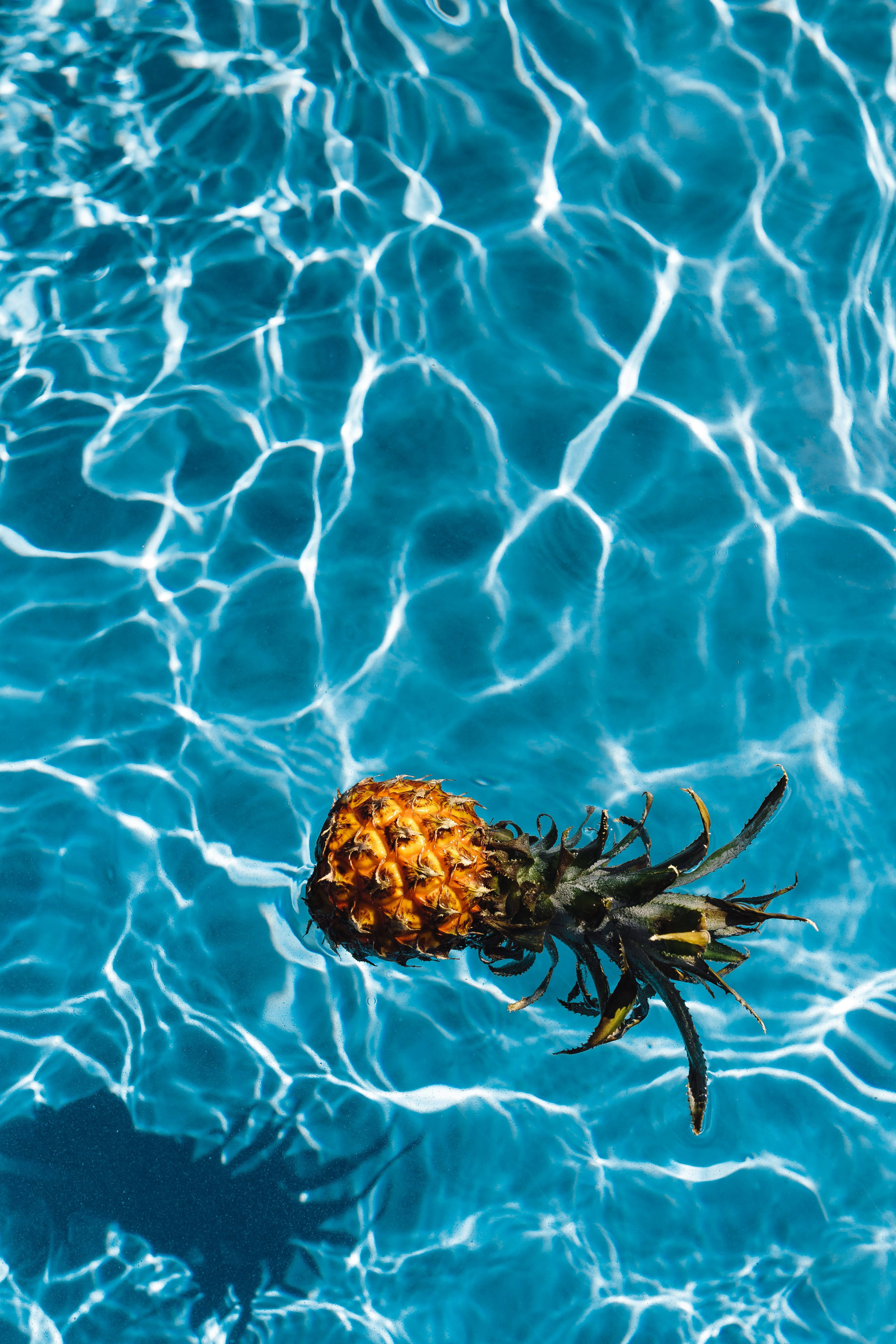 pineapple, vibrant blue pool water, rippling sunlight patterns, 5K Phone Wallpaper
