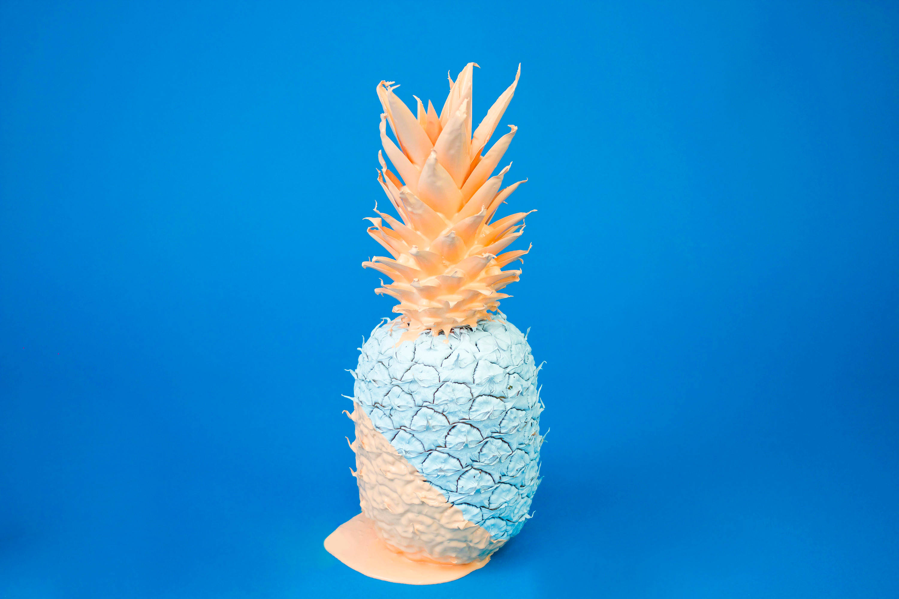 Pineapple, light blue, solid blue background, 2K Desktop Wallpaper