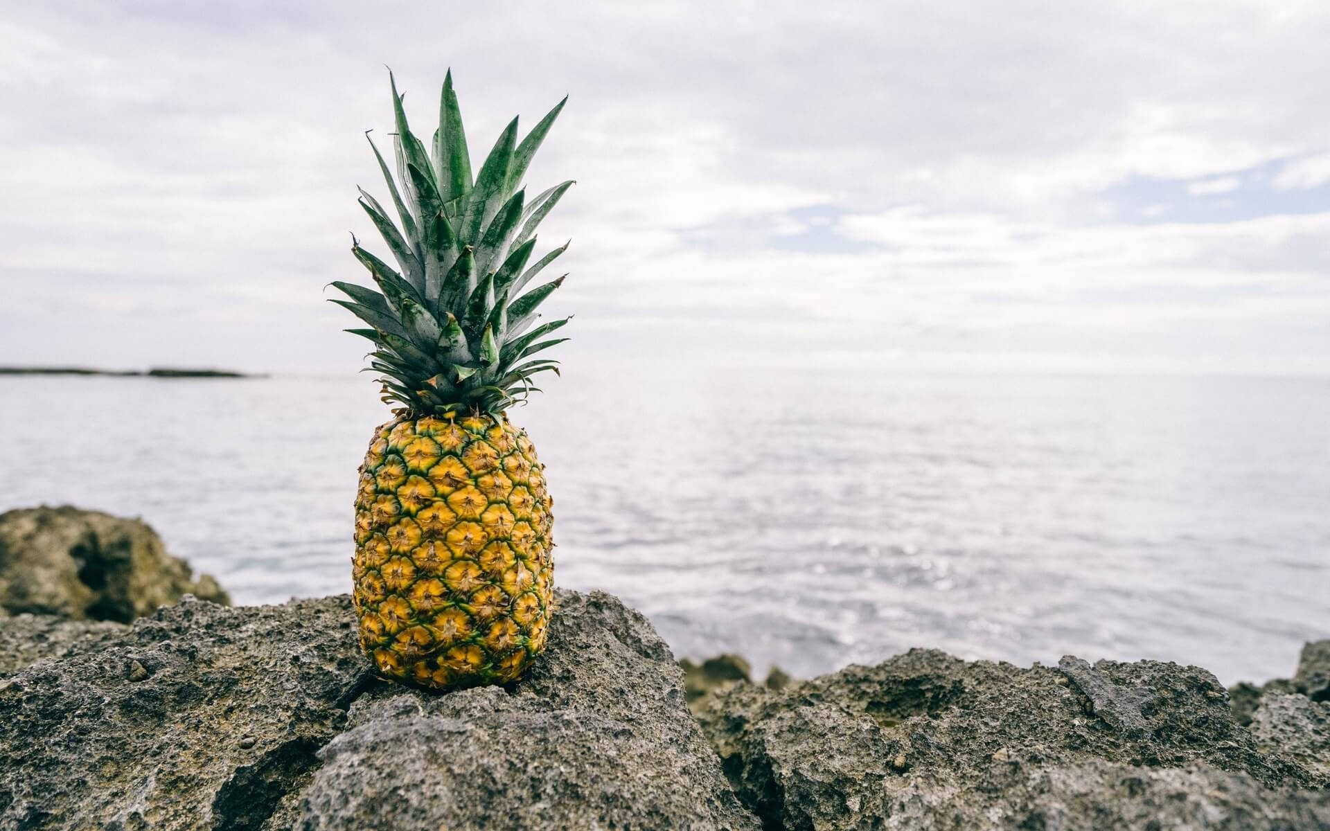 pineapple, rocky shore, ocean, Full HD Desktop Wallpaper