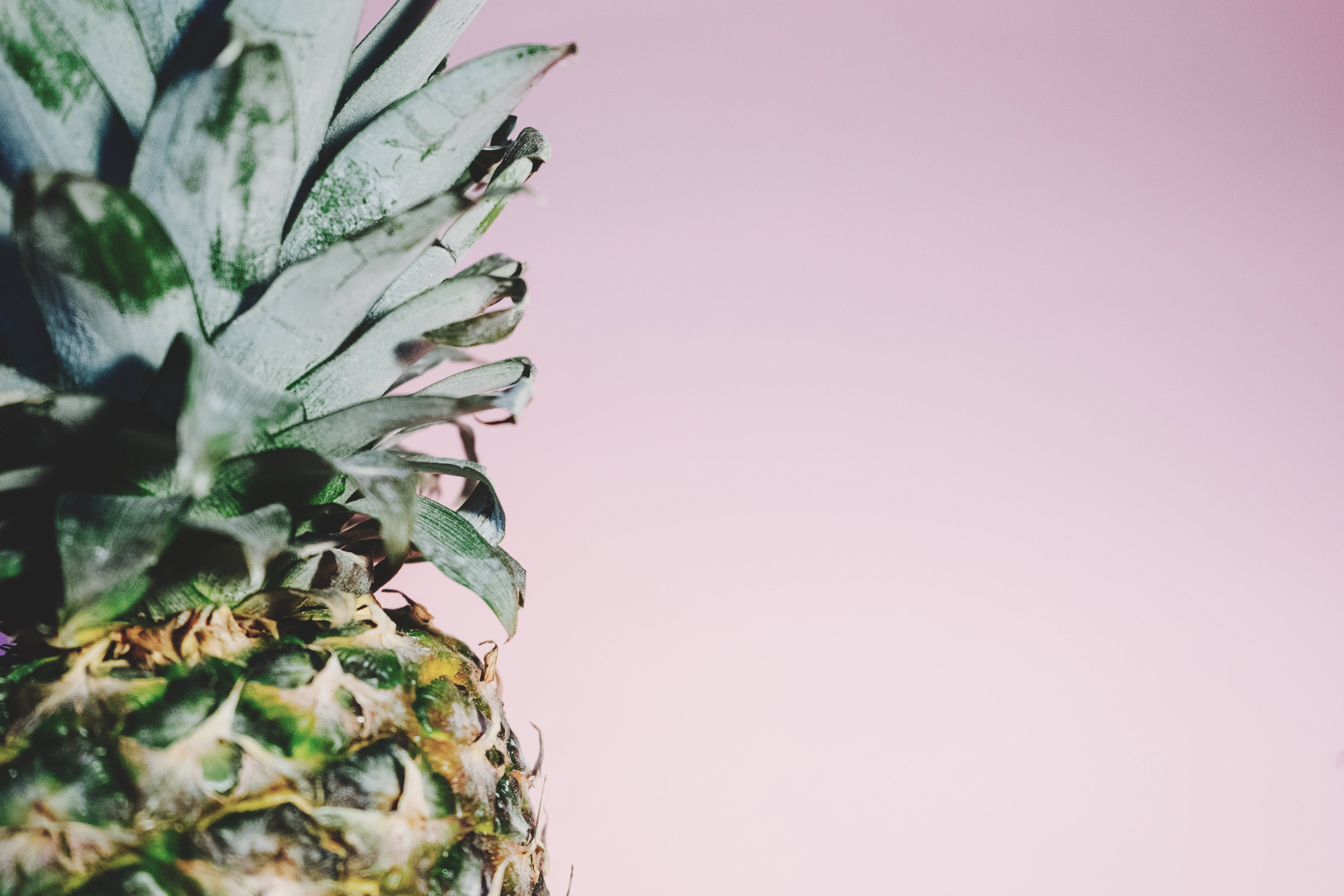 minimalist pineapple crown, pineapple's textured crown, soft pink background, 5K Desktop Wallpaper