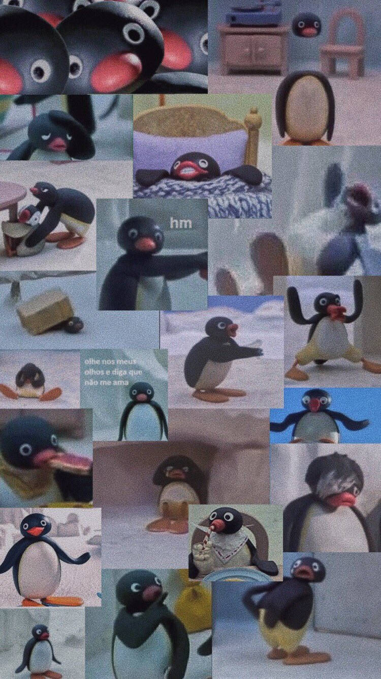 Pingu, claymation, penguin, HD Phone Wallpaper