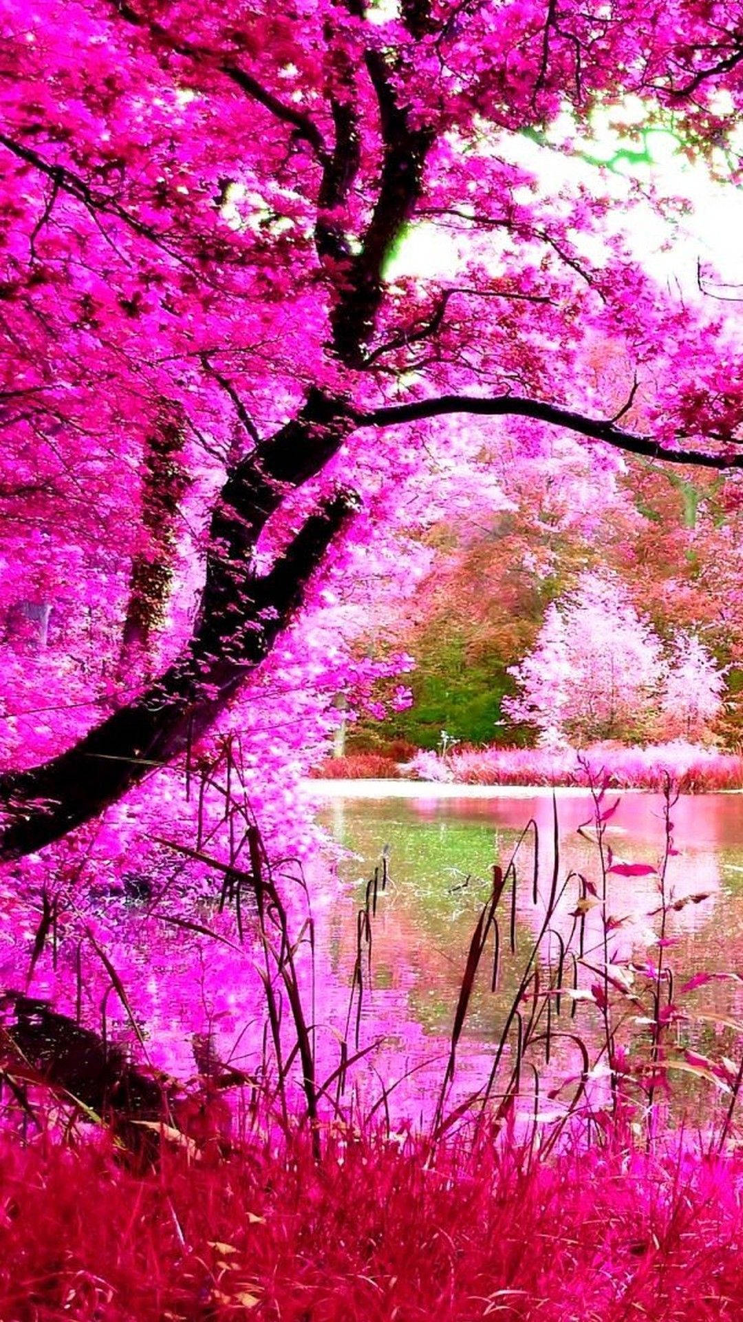 Pink 3d iPhone, vibrant pink cherry blossoms, tree arching over a calm pond, Full HD Phone Wallpaper