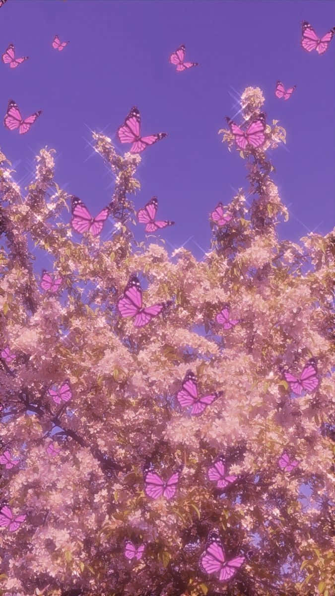 pink butterflies, blossoming cherry tree branches, dreamy purple sky, SD Phone Wallpaper