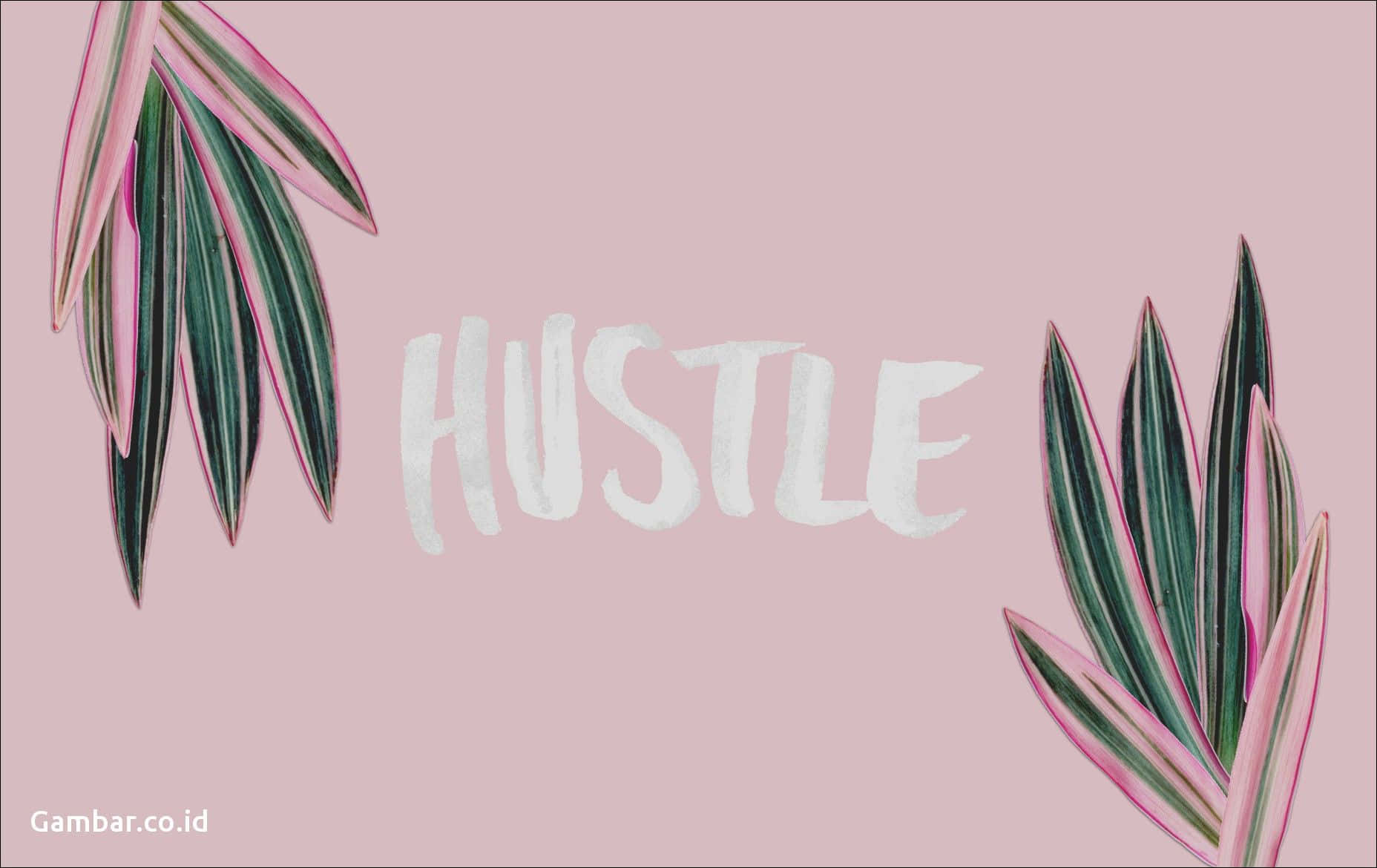 hustle, white brushstroke font, soft pink background, HD Desktop Wallpaper