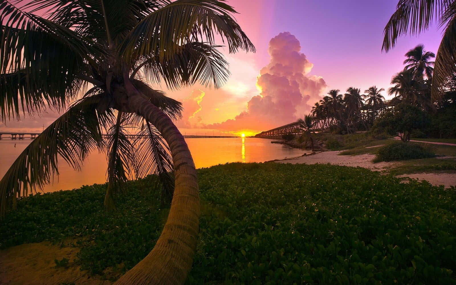 Pink Beach Sunset, fiery orange sun, bridge, HD Desktop Wallpaper