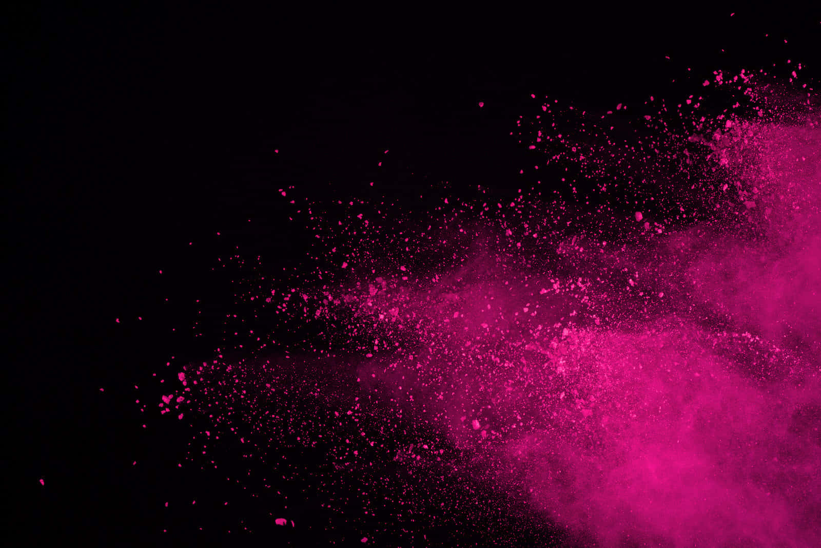 magenta powder, pure black background, vibrant magenta, HD Desktop Wallpaper