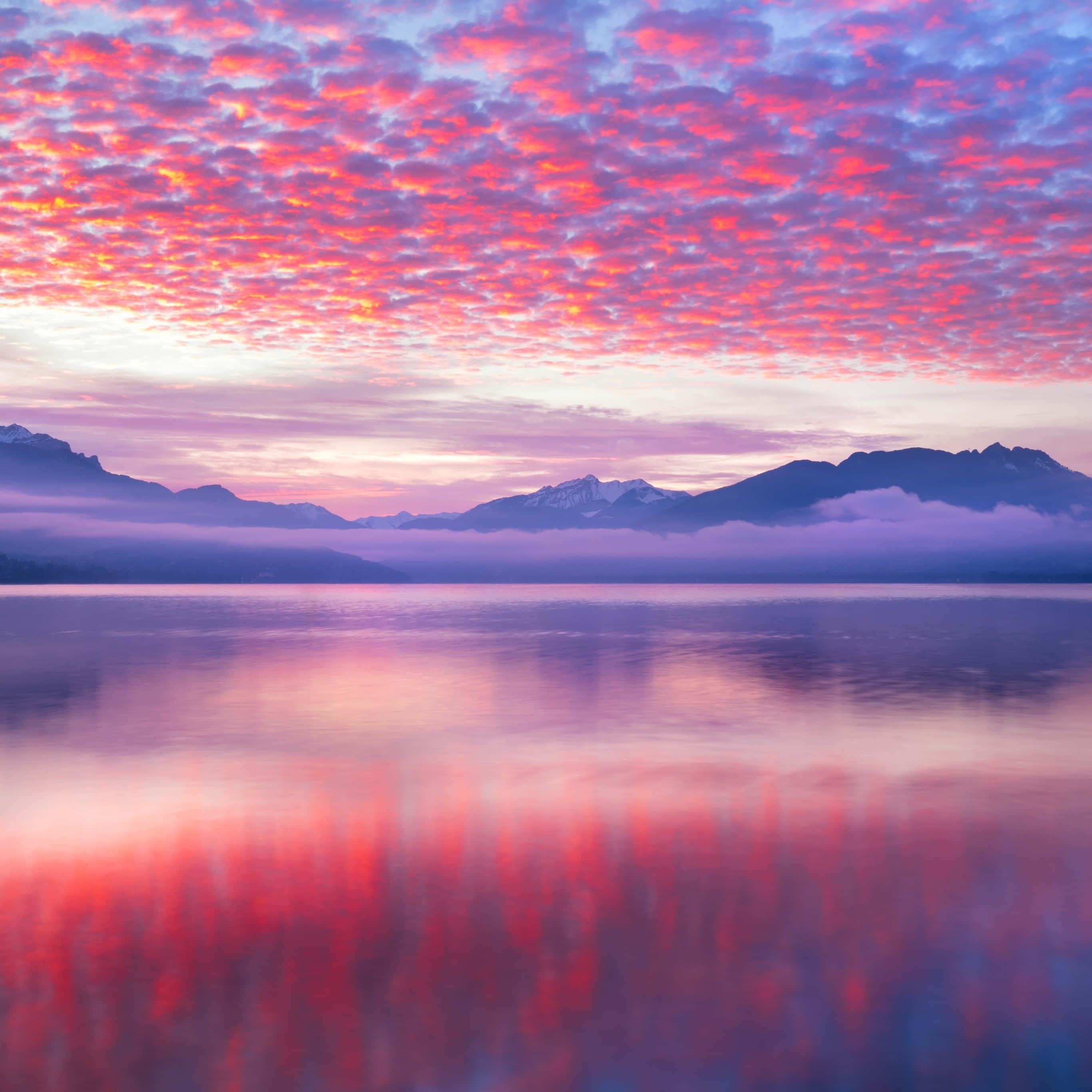 Pink And Blue Clouds, vibrant pink and purple sunrise sky, misty mountains, 2K Desktop Wallpaper