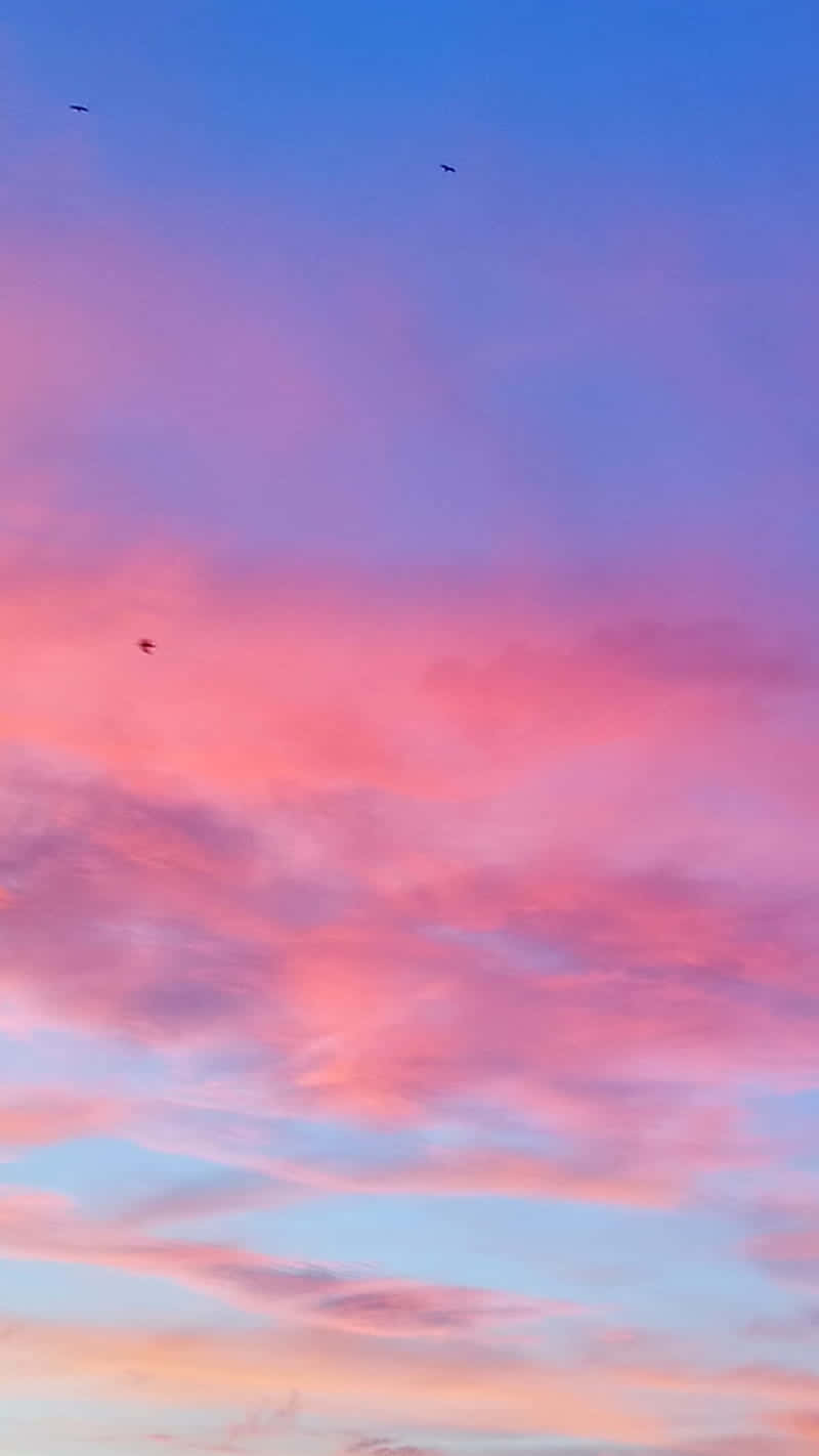 Pink And Blue Clouds, sunset sky, soft pinks and blues, HD Phone Wallpaper
