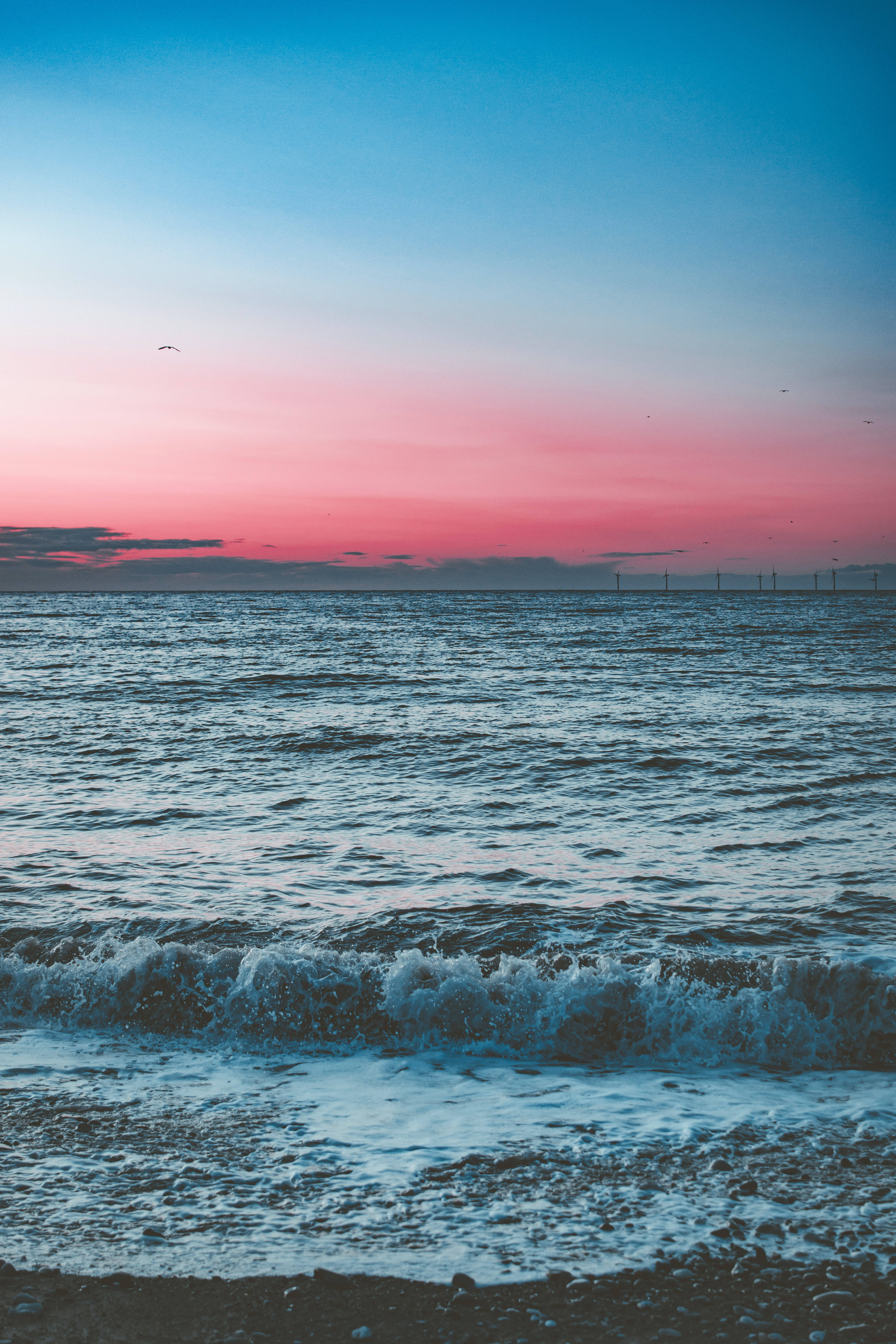 Pink And Blue Beach Android, sunset, pink and blue skies, 5K Phone Wallpaper