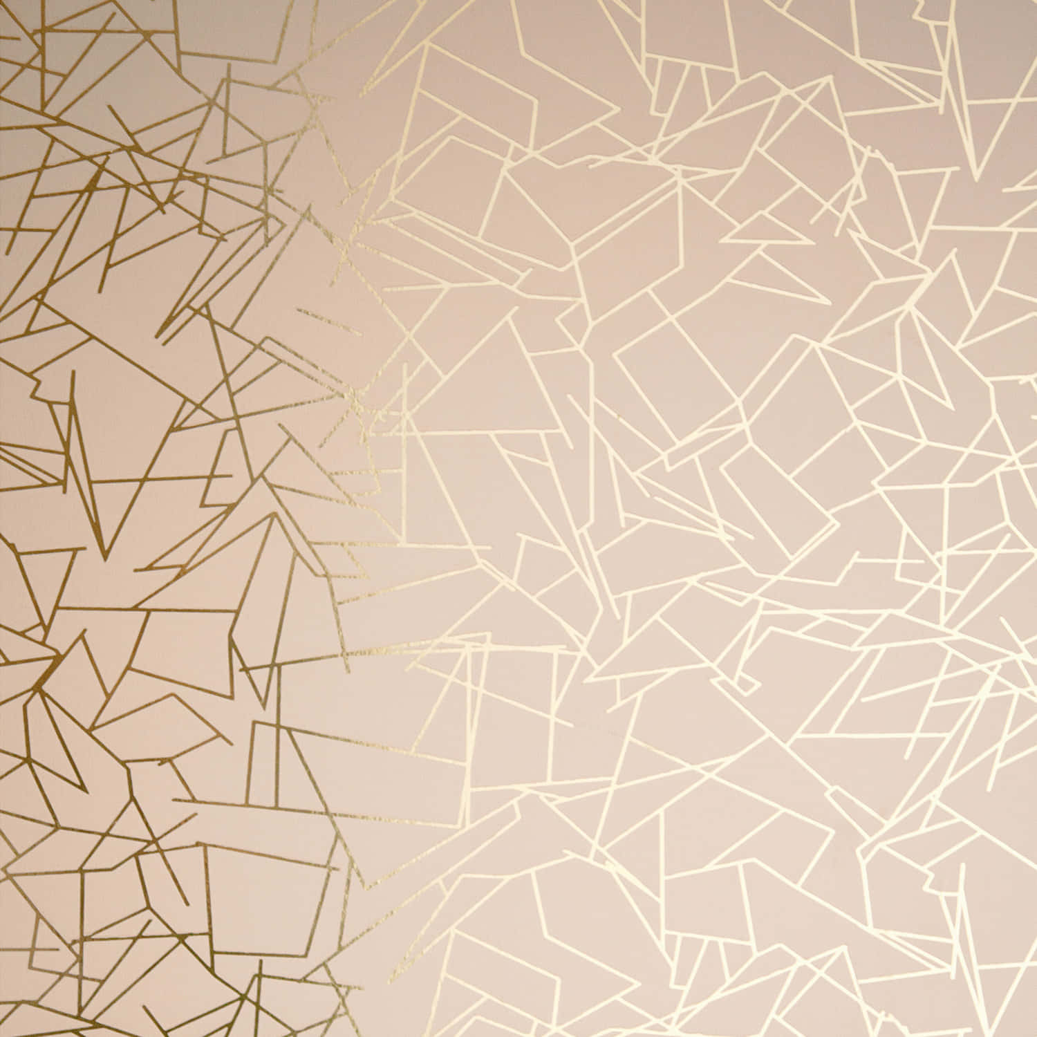 blush background, gold lines, cream lines, HD Desktop Wallpaper