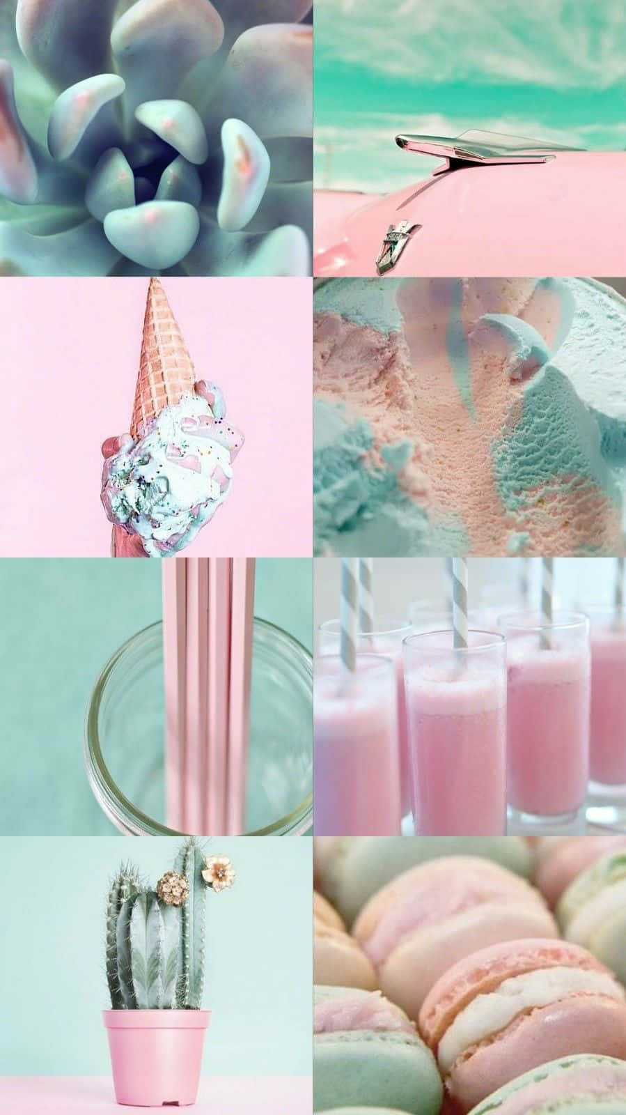 pastel-toned, succulents, ice cream, HD Phone Wallpaper