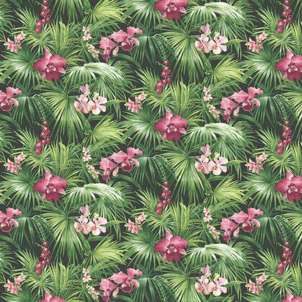 pink orchids, lush green palm fronds, tropical jungle wallpaper pattern, SD Desktop Wallpaper