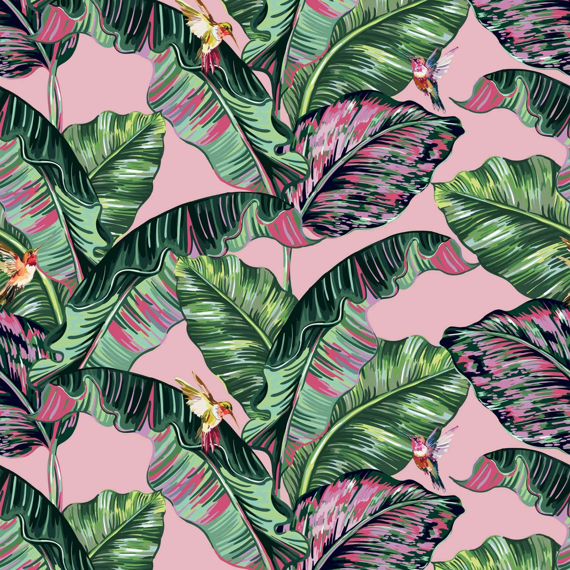 Vibrant Pink and Green Aesthetic Experience, tropical banana leaves, pink and green hues, Full HD Desktop Wallpaper