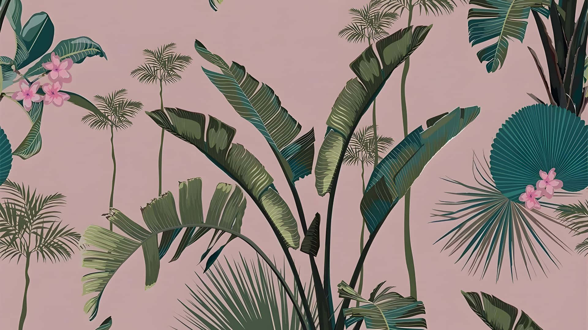 pink and green tropical leaves, banana leaves, palm fronds, Full HD Desktop Wallpaper