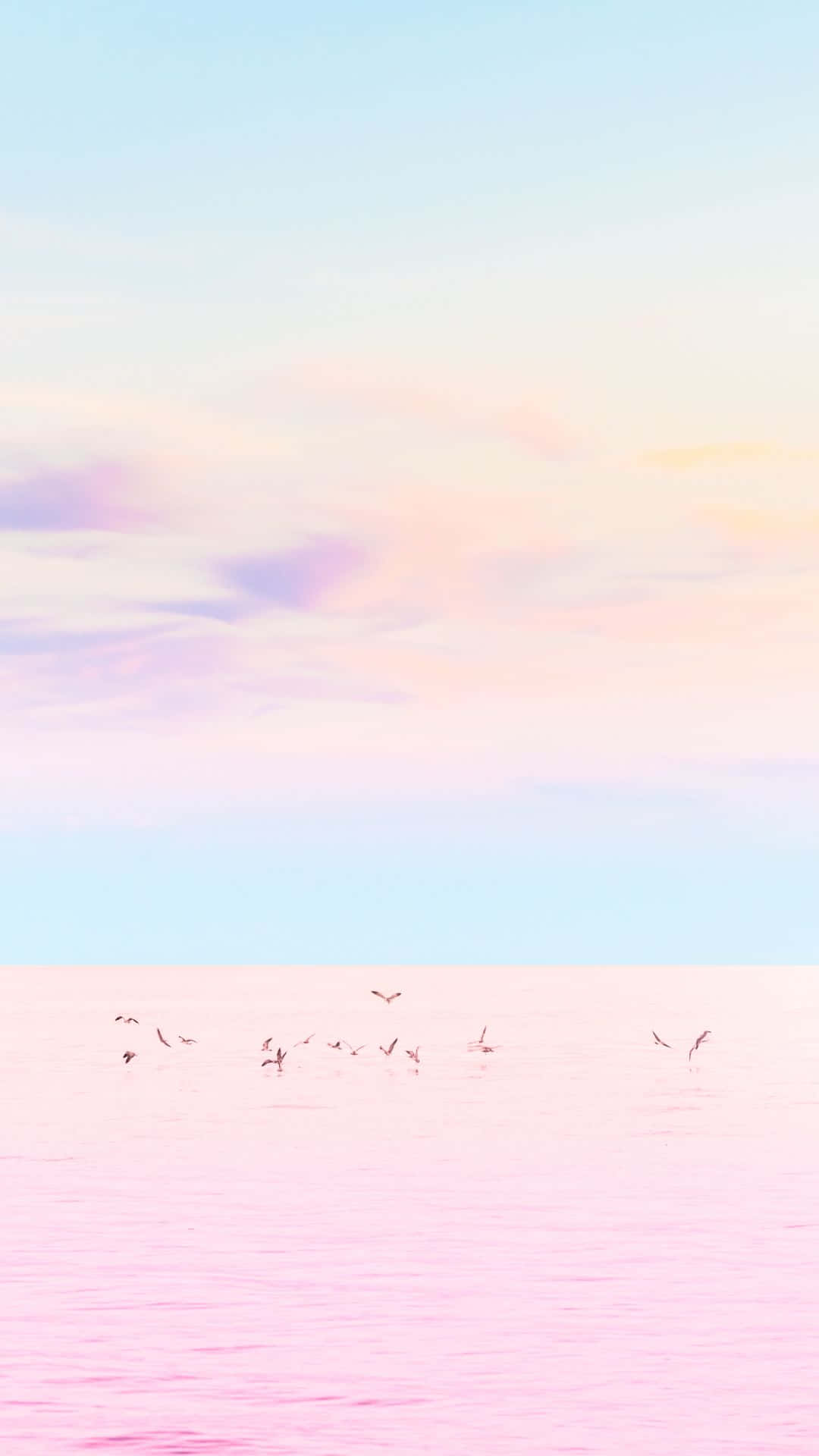 Pink Seagulls, pastel sky, soft pink and blue hues, Full HD Phone Wallpaper