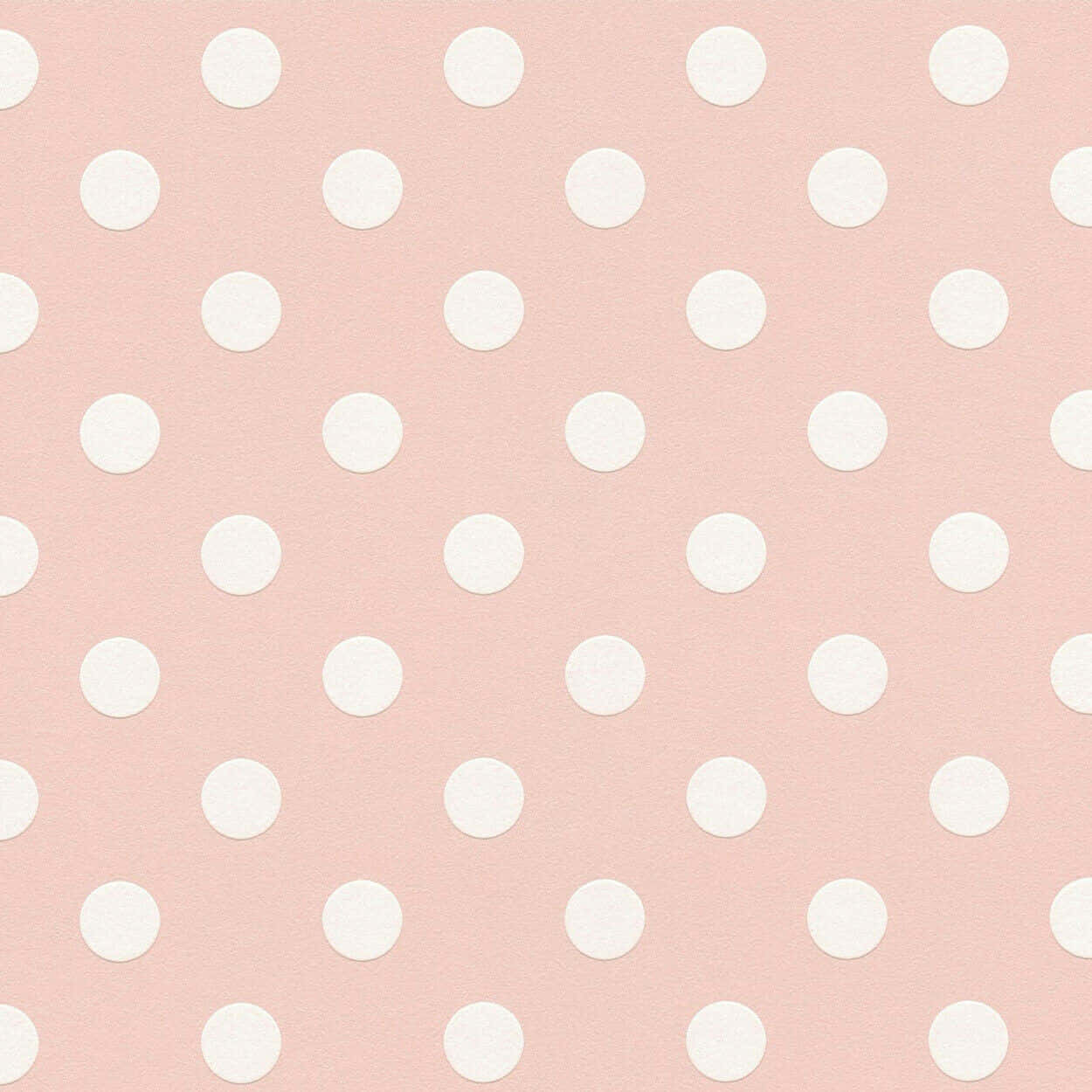 pink and white polka dot, soft pink, white polka dots, SD Desktop Wallpaper