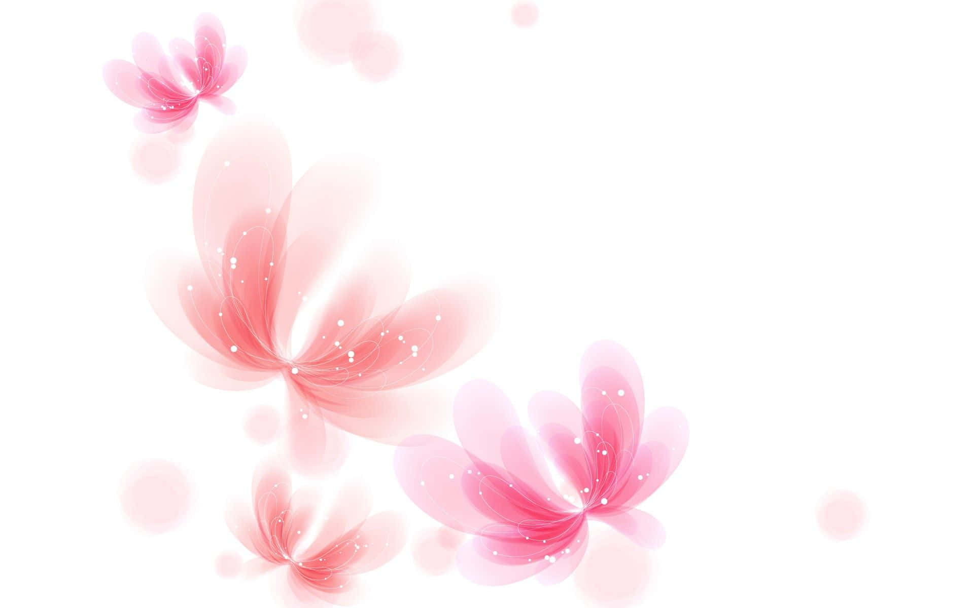 bright pink, white background, soft pink translucent floral shapes, Full HD Desktop Wallpaper