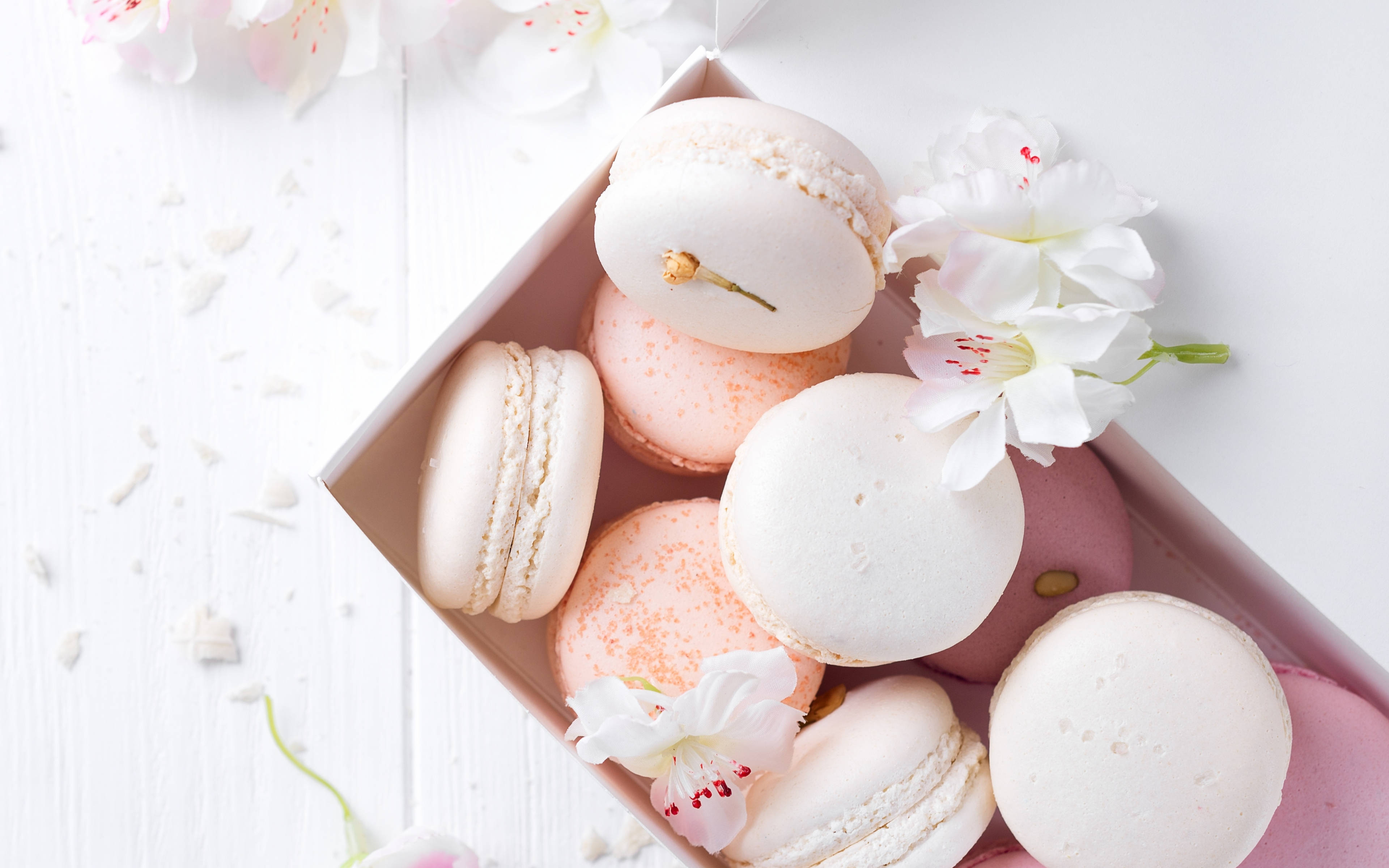 Pink And White, pastel macarons, white flowers, 4K Desktop Wallpaper