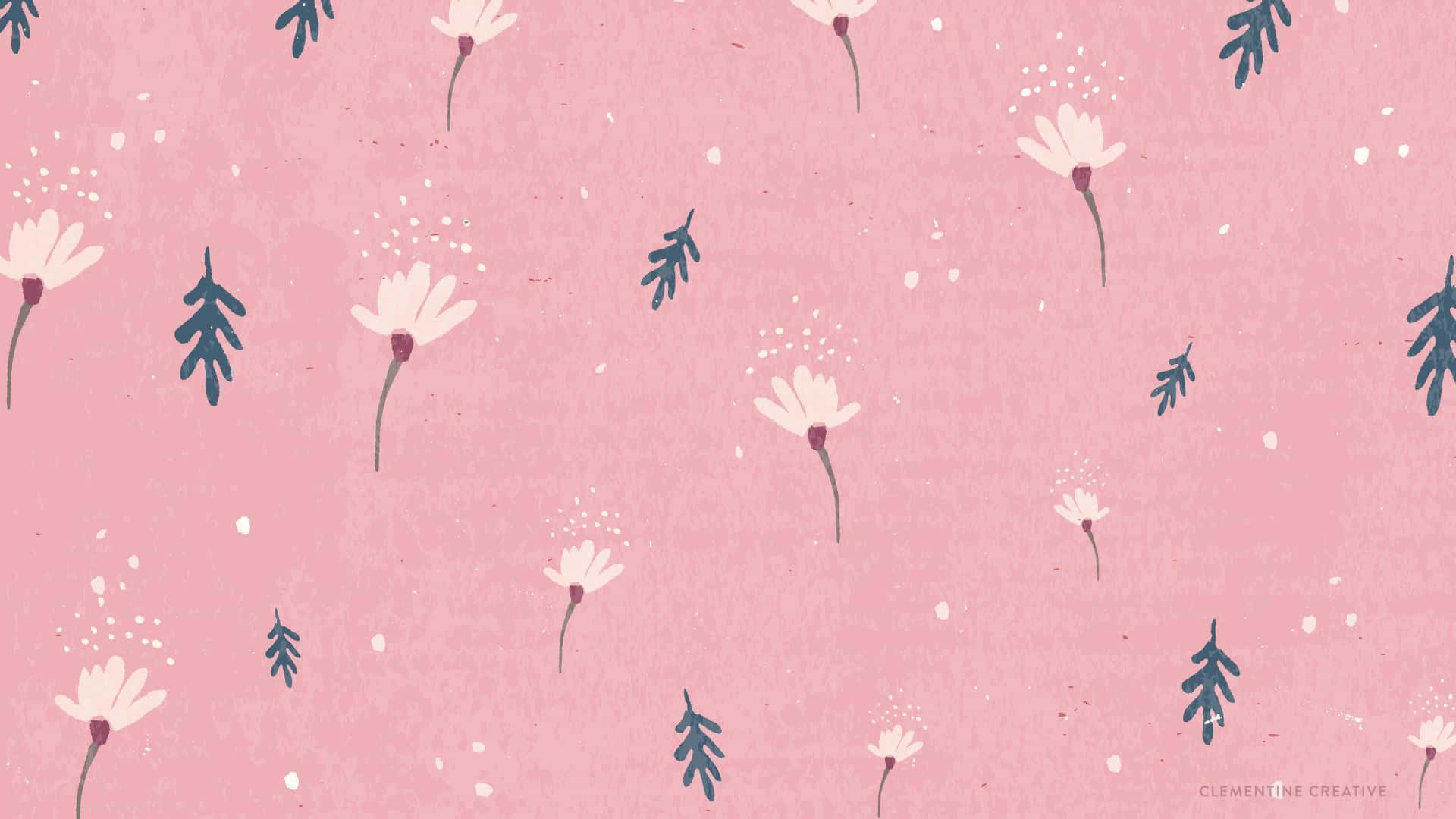 pink and white, white daisies, dark green leaves, Full HD Desktop Wallpaper