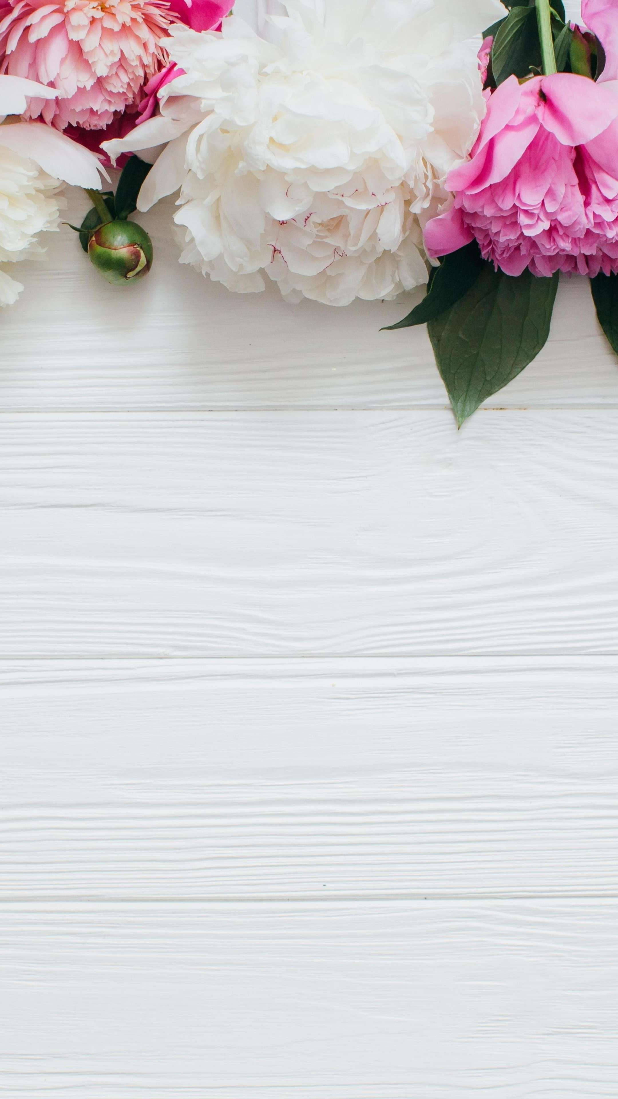 pink sky, rolling white clouds, soft pink peonies, 4K Phone Wallpaper