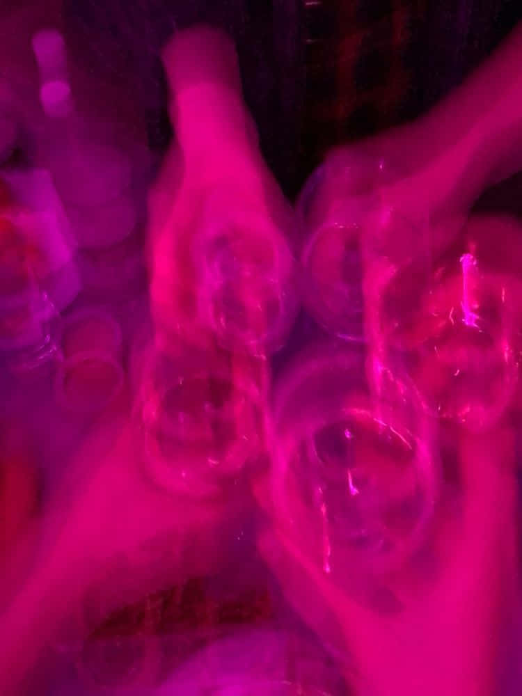 Pink Bad Girl, glowing pink drink glasses, dimly lit party setting, SD Phone Wallpaper