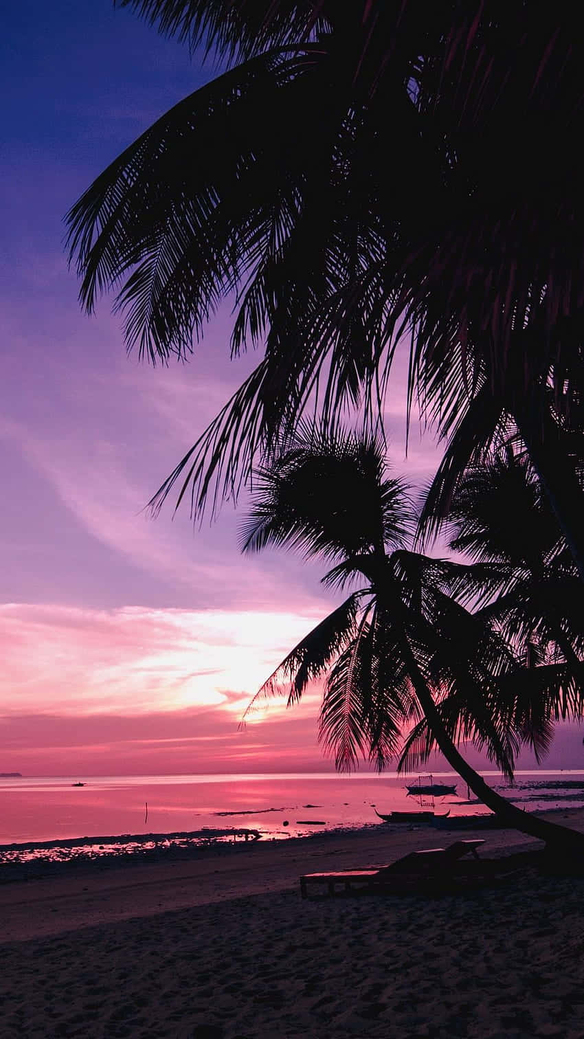 pink beach sunset, sunset, beach, HD Phone Wallpaper