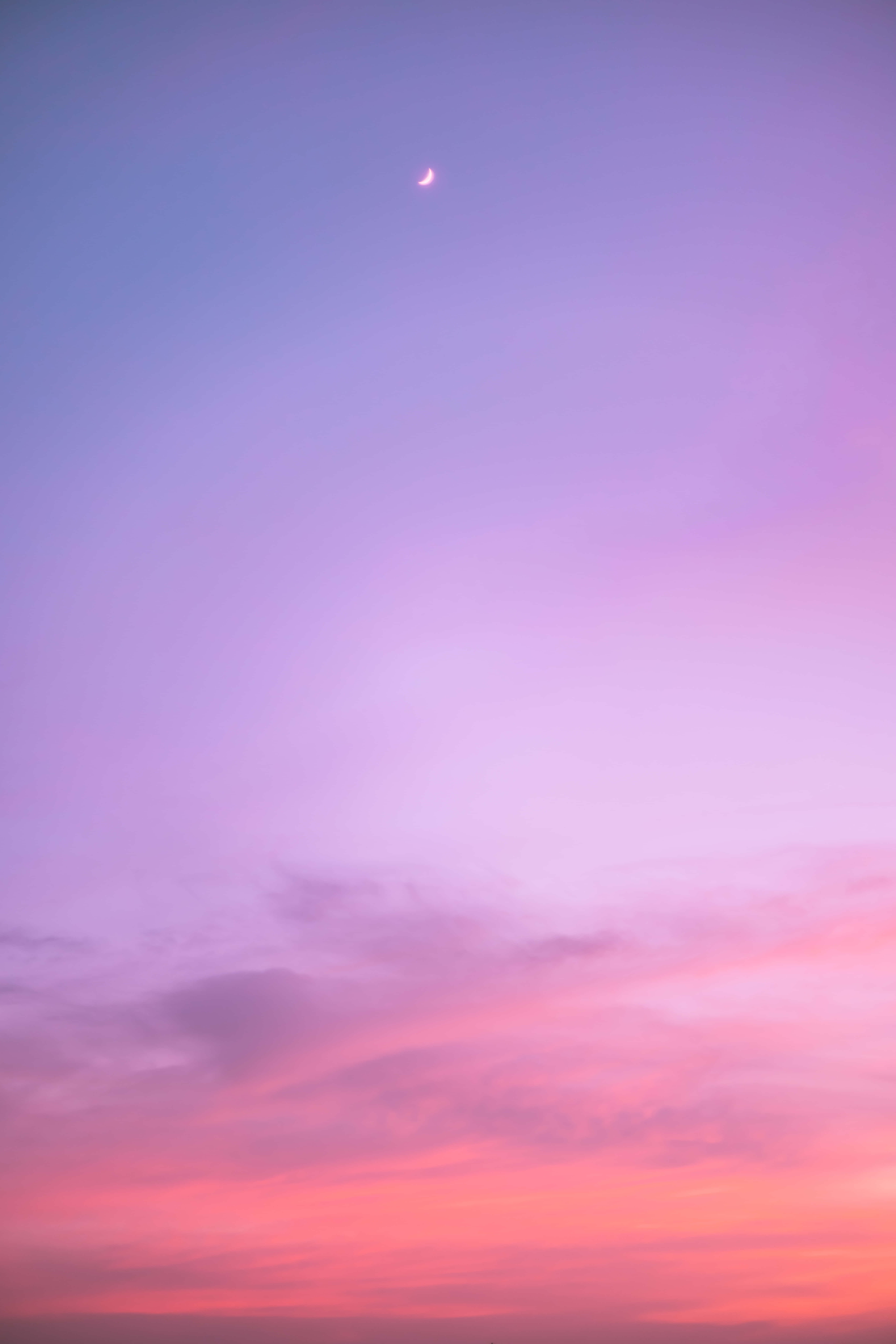 Pink Beach Sunset, crescent moon, twilight sky, 8K Phone Wallpaper