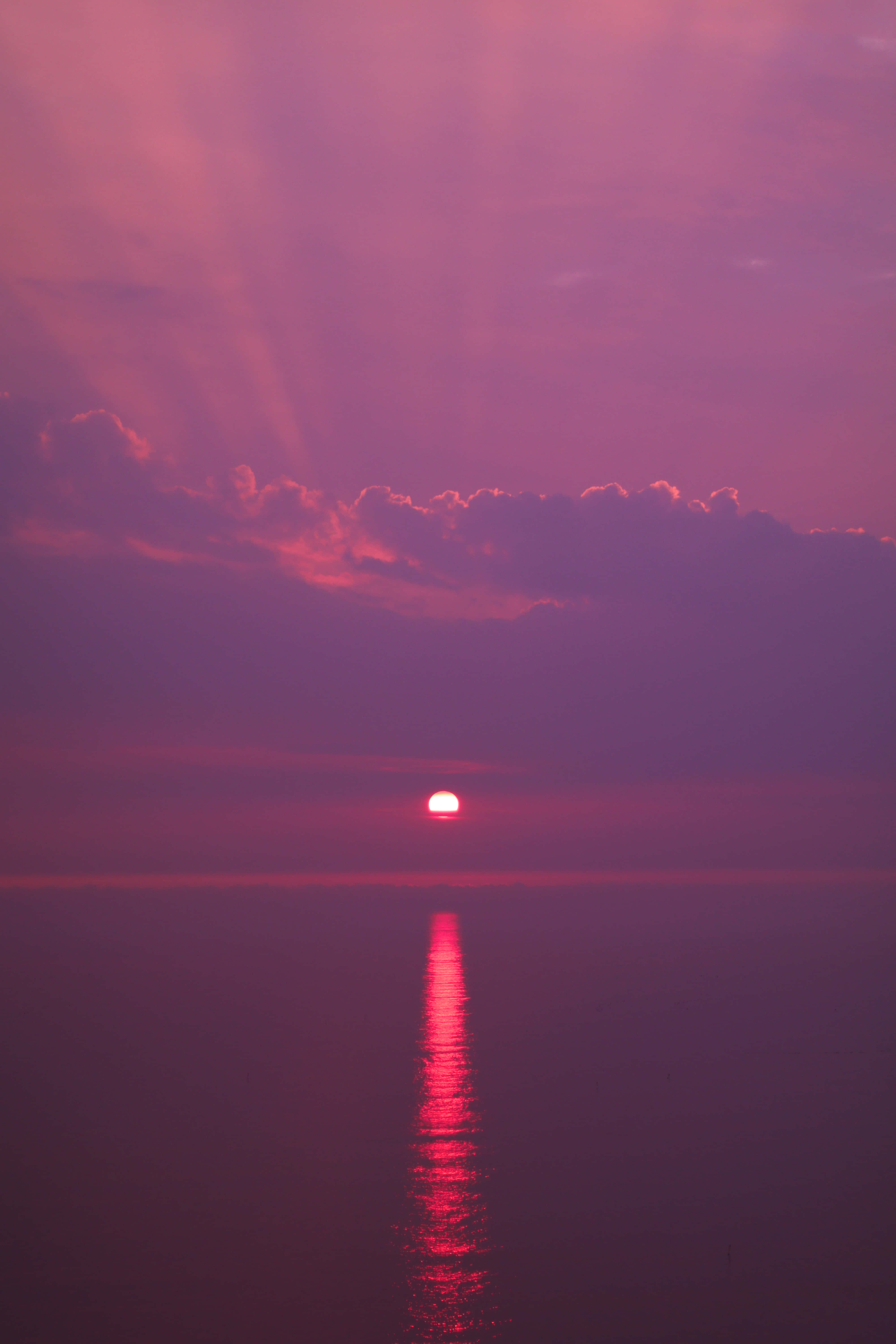 Pink Beach Sunset, pink sun, calm waters, 5K Phone Wallpaper