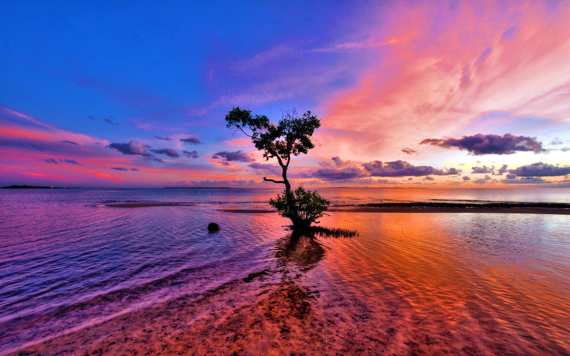Pink Beach Sunset, vibrant sunset, fiery oranges, Full HD Desktop Wallpaper