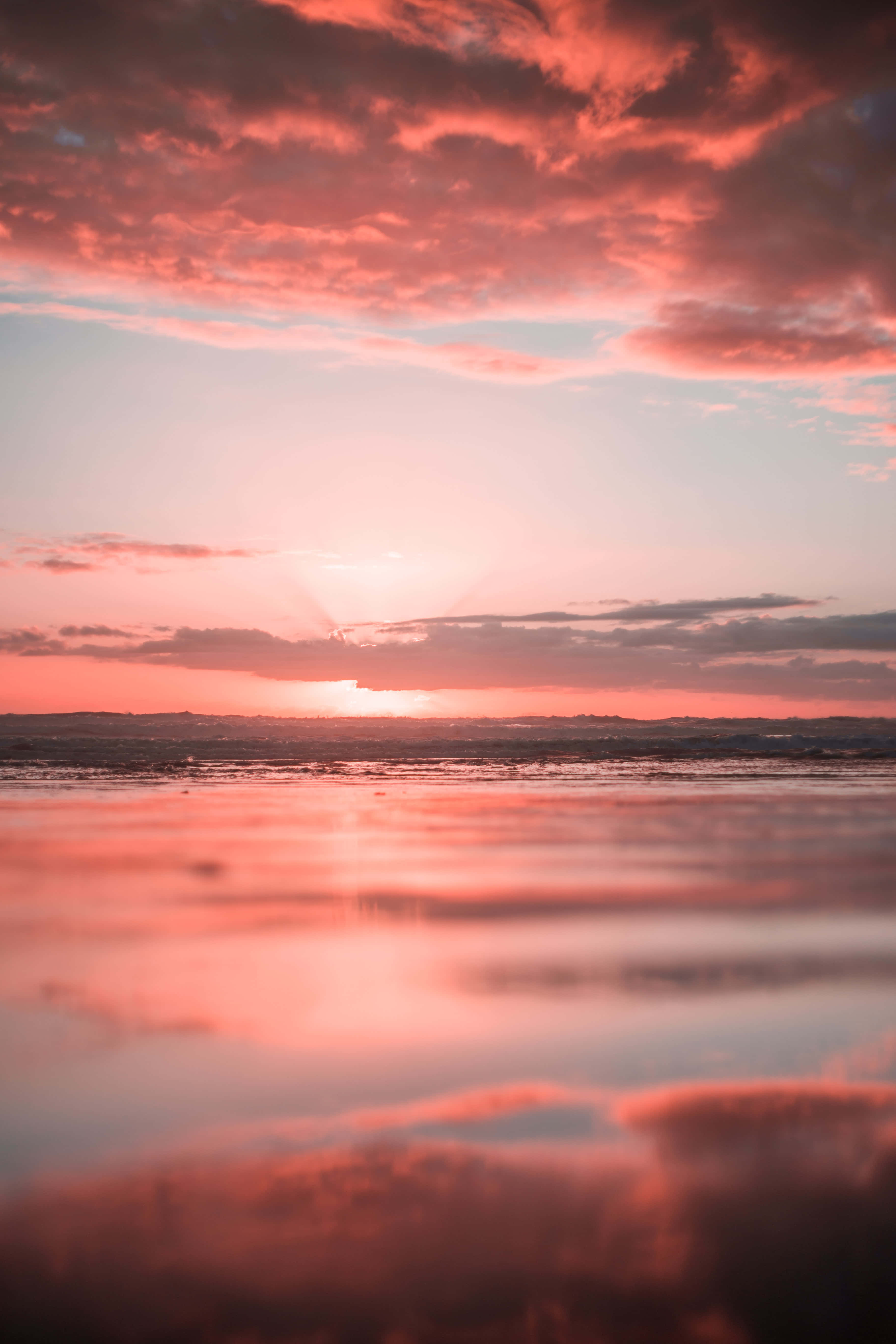 pink beach sunset, breathtaking sunset, wet beach, 5K Phone Wallpaper