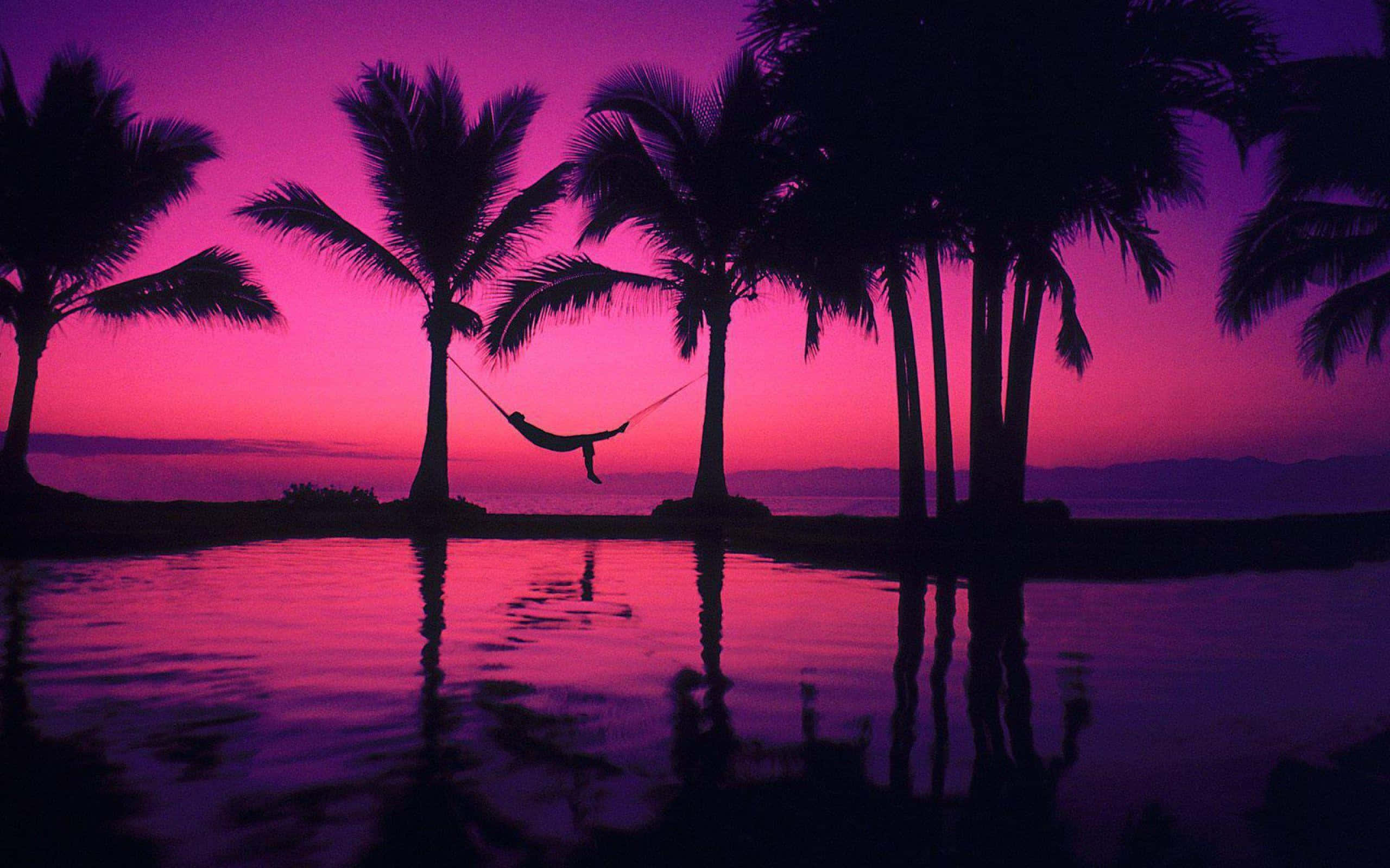 pink beach sunset, hammock, palm trees, 2K Desktop Wallpaper
