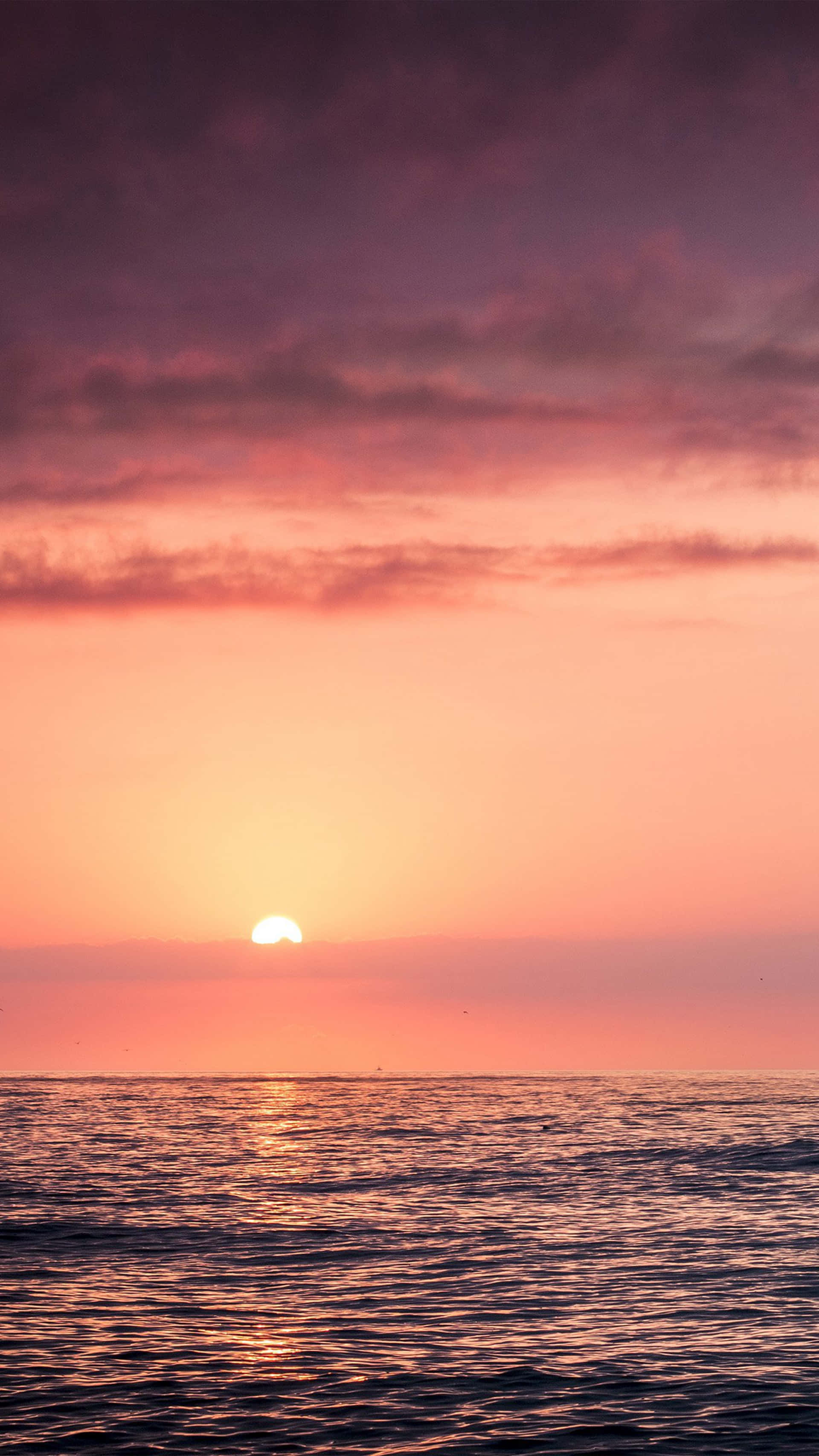 Pink Beach Sunset, sunset, calm ocean waters, 2K Phone Wallpaper