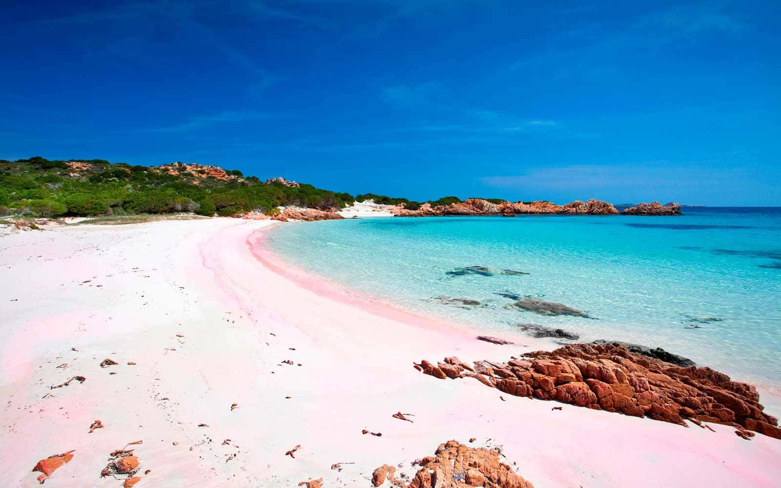 pink sand beach, turquoise waters, vibrant blue sky, HD Desktop Wallpaper