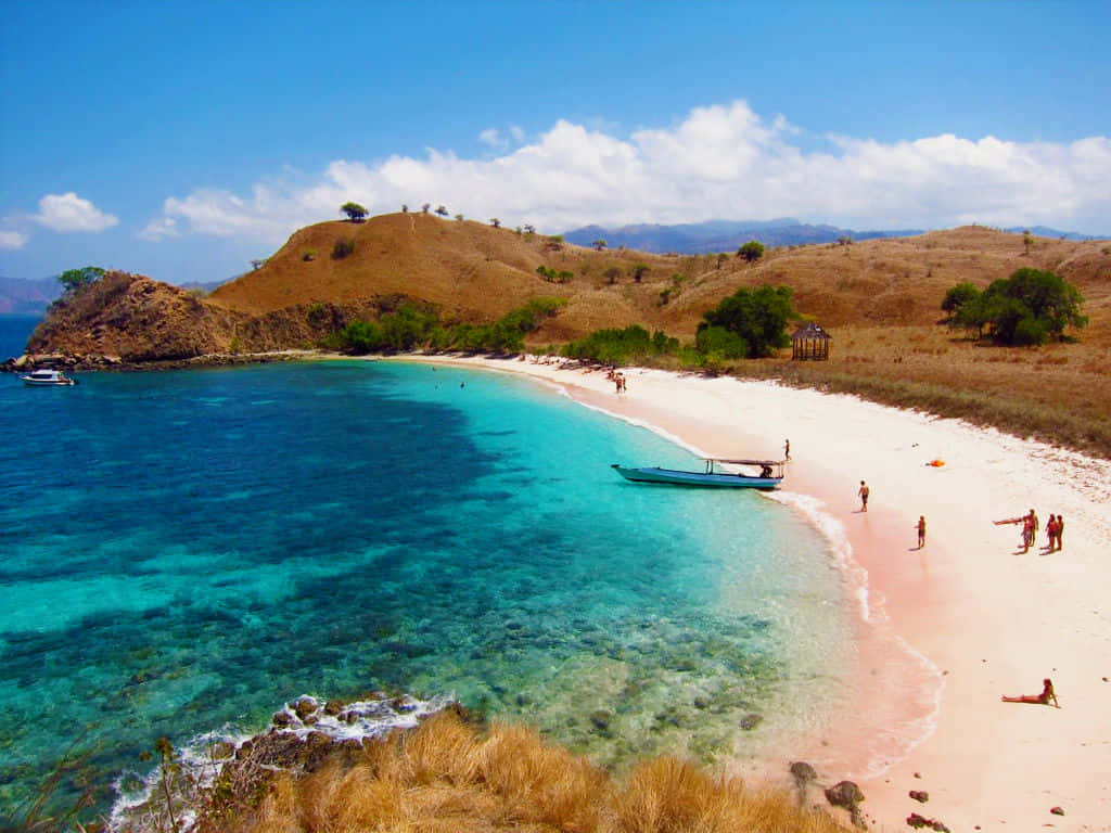 Pink Sand Beach, turquoise waters, pink sand, SD Desktop Wallpaper