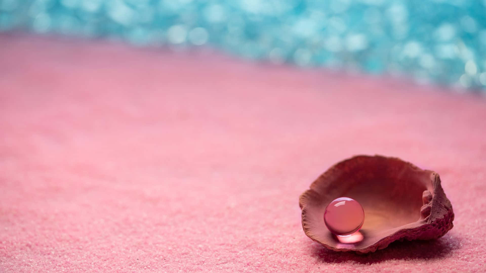 Pink Beach, sunset, brown seashell, Full HD Desktop Wallpaper
