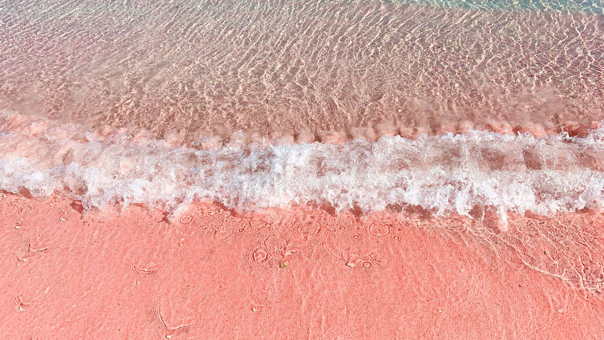 Pink Beach, pink sand beach, clear water, Full HD Desktop Wallpaper
