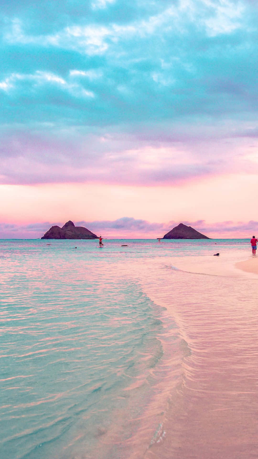 Pink Beach, sunset, pastel pink sands, Full HD Phone Wallpaper