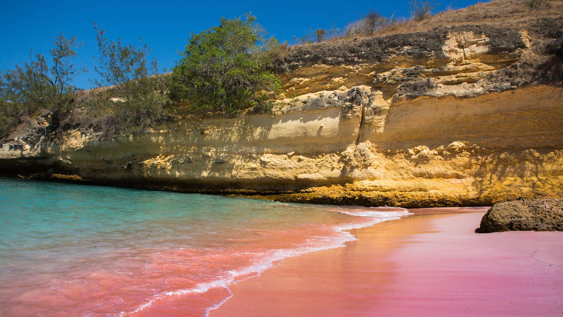 Pink Beach, vibrant pink sand, turquoise waves, Full HD Desktop Wallpaper