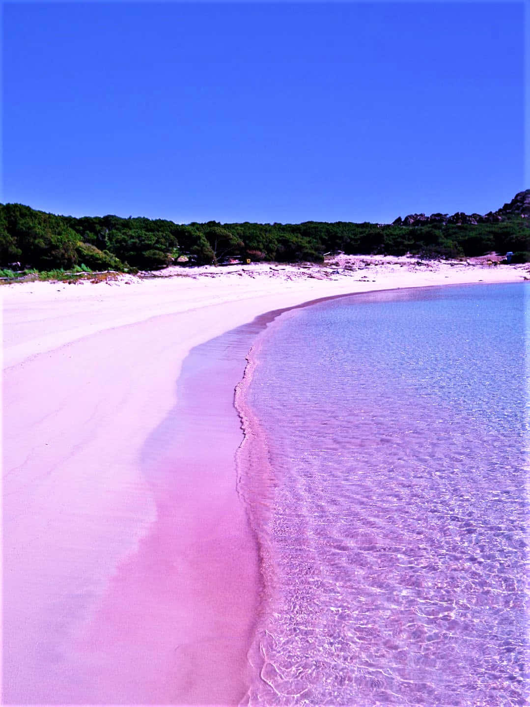 Pink Beach, pink sand beach, pink water, HD Phone Wallpaper