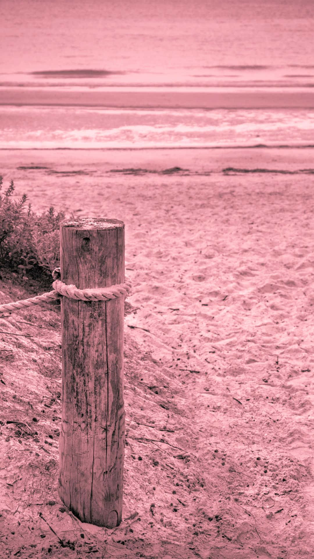 Pink Beach, pink-tinted sand, ocean waves, Full HD Phone Wallpaper