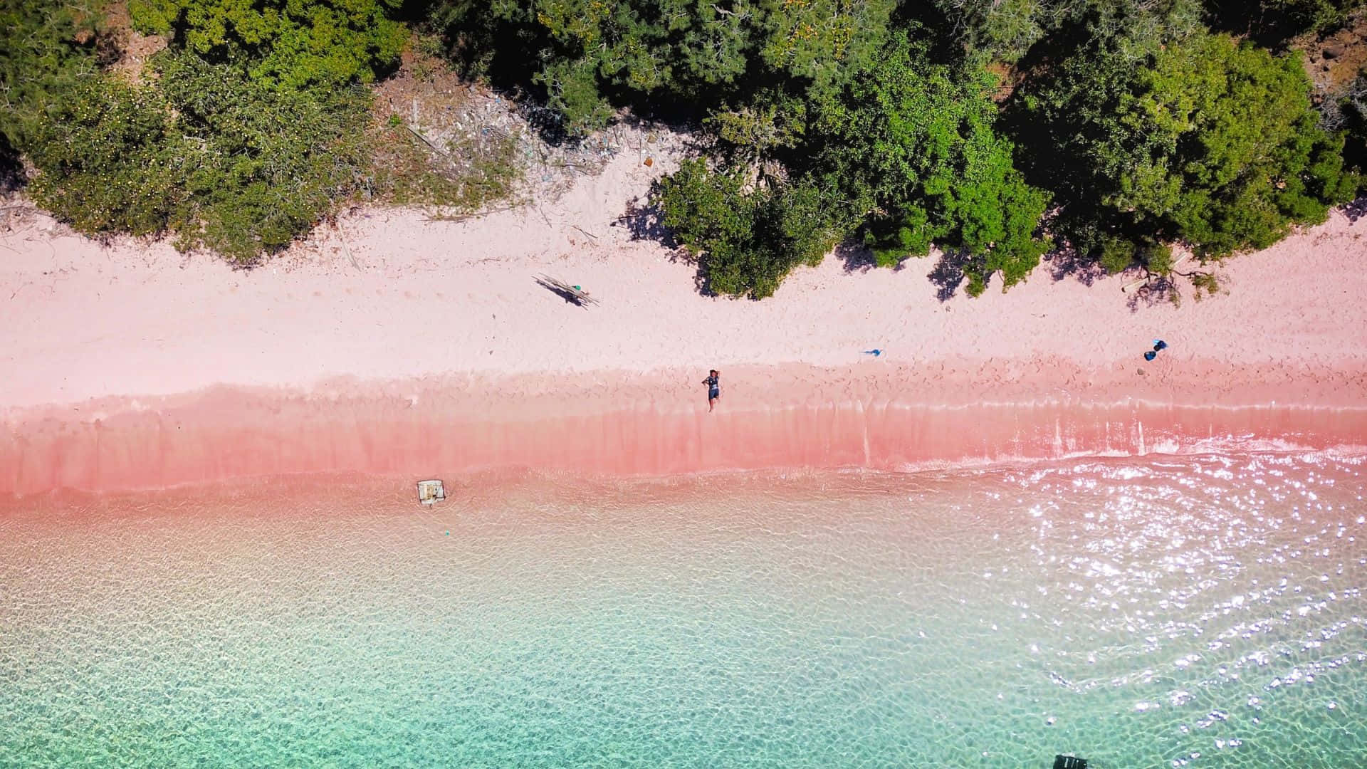 Pink Beach, pink sand beach, lush green trees, Full HD Desktop Wallpaper