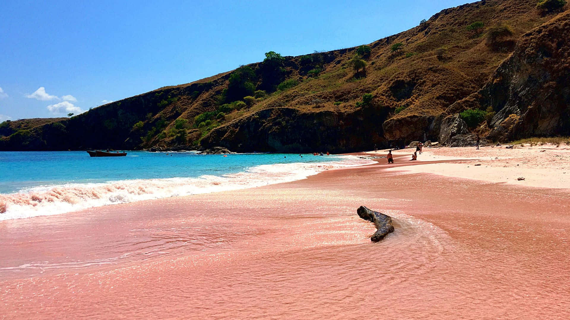 Pink Beach, pink sand beach, turquoise waves, Full HD Desktop Wallpaper