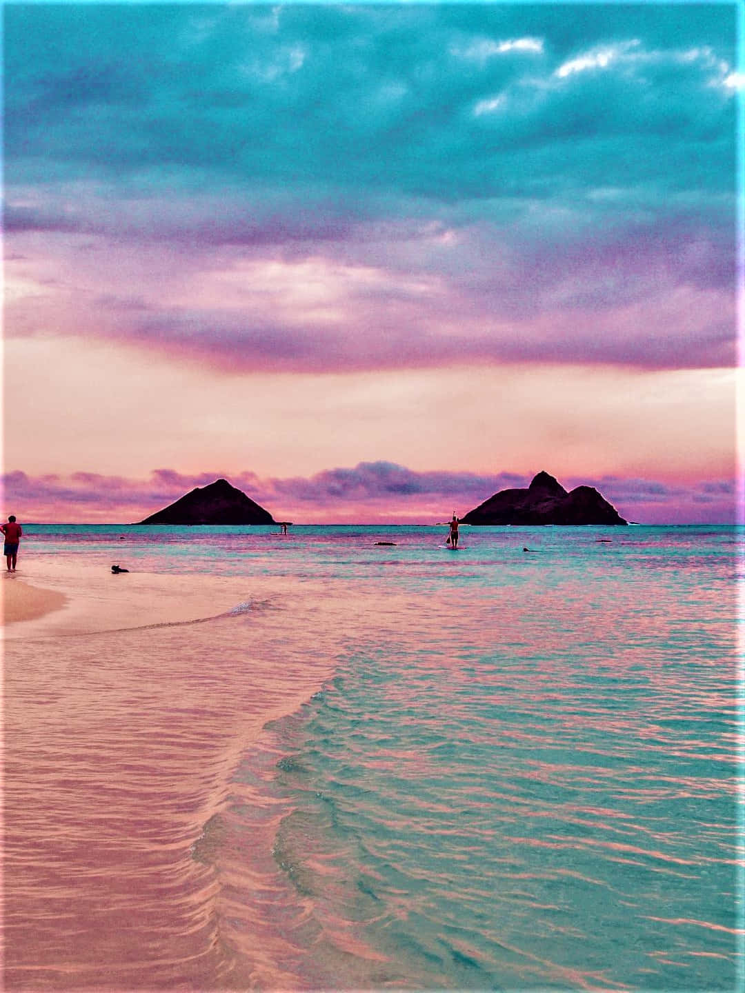 Pink Beach, sunset, pink and teal waters, HD Phone Wallpaper