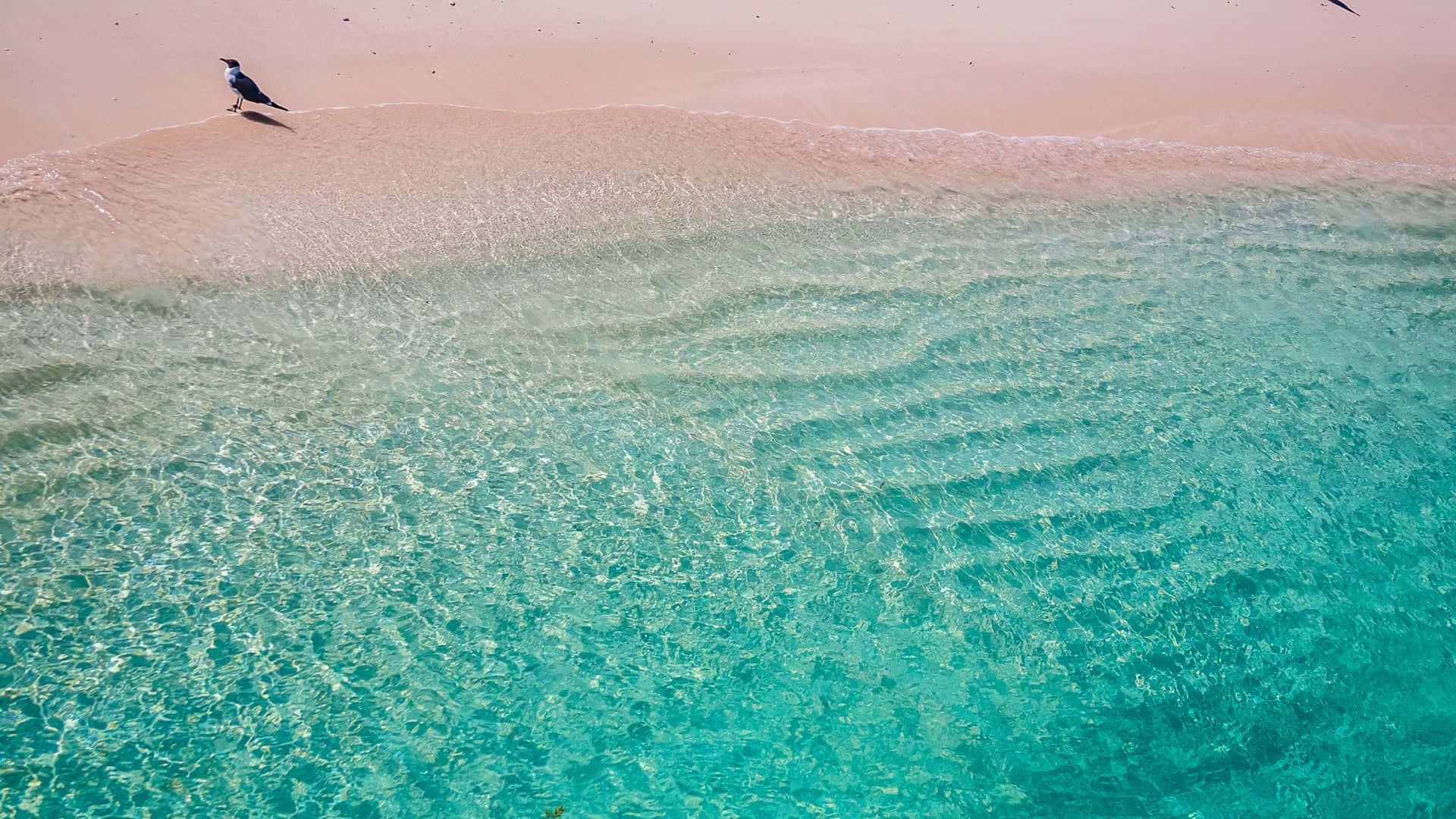 Pink Beach, Sunset, turquoise water, Full HD Desktop Wallpaper