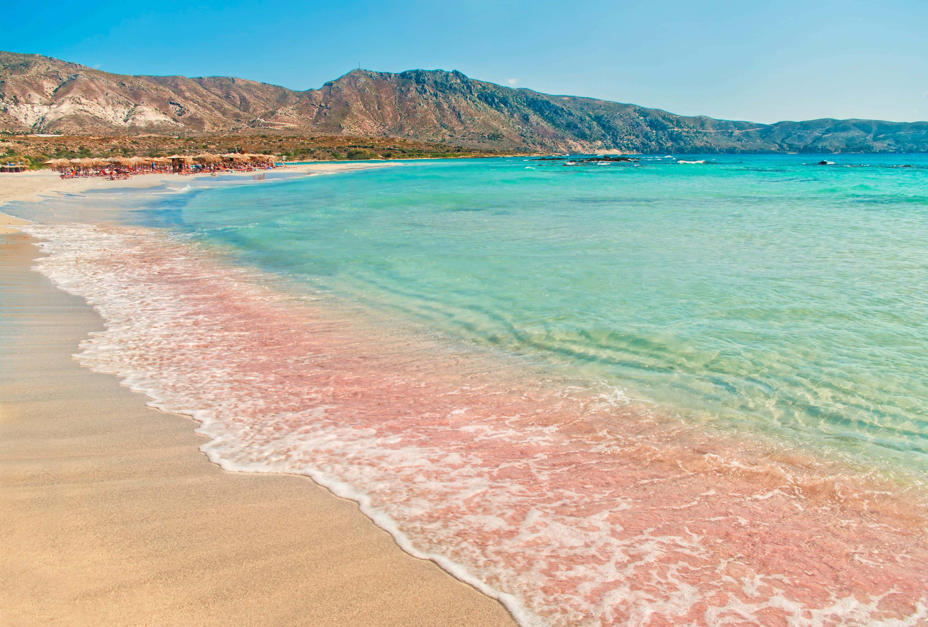 Pink Sand Beach, golden sand, turquoise waters, 2K Desktop Wallpaper