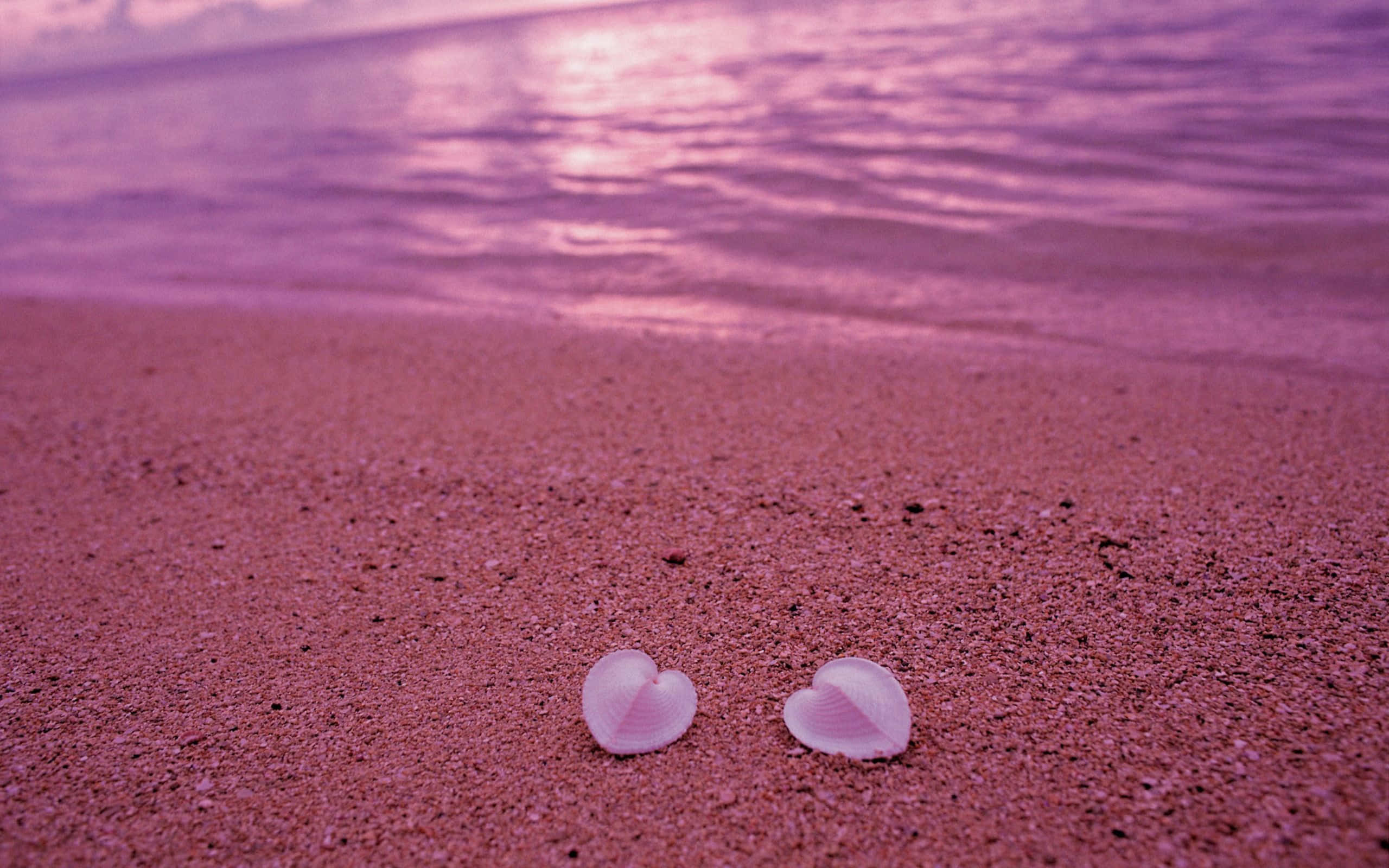 Pink Sand Beach, sunset, pink sand, 2K Desktop Wallpaper
